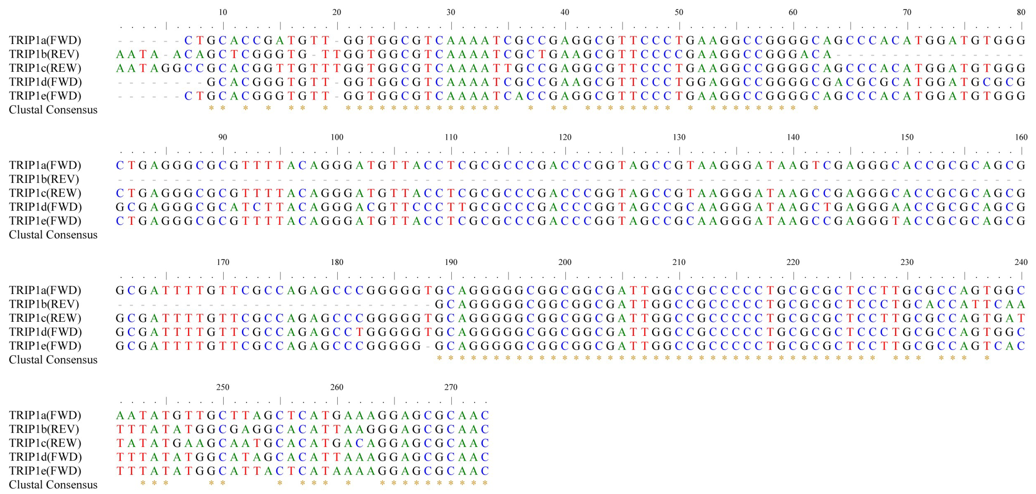 Genes 15 00236 g002