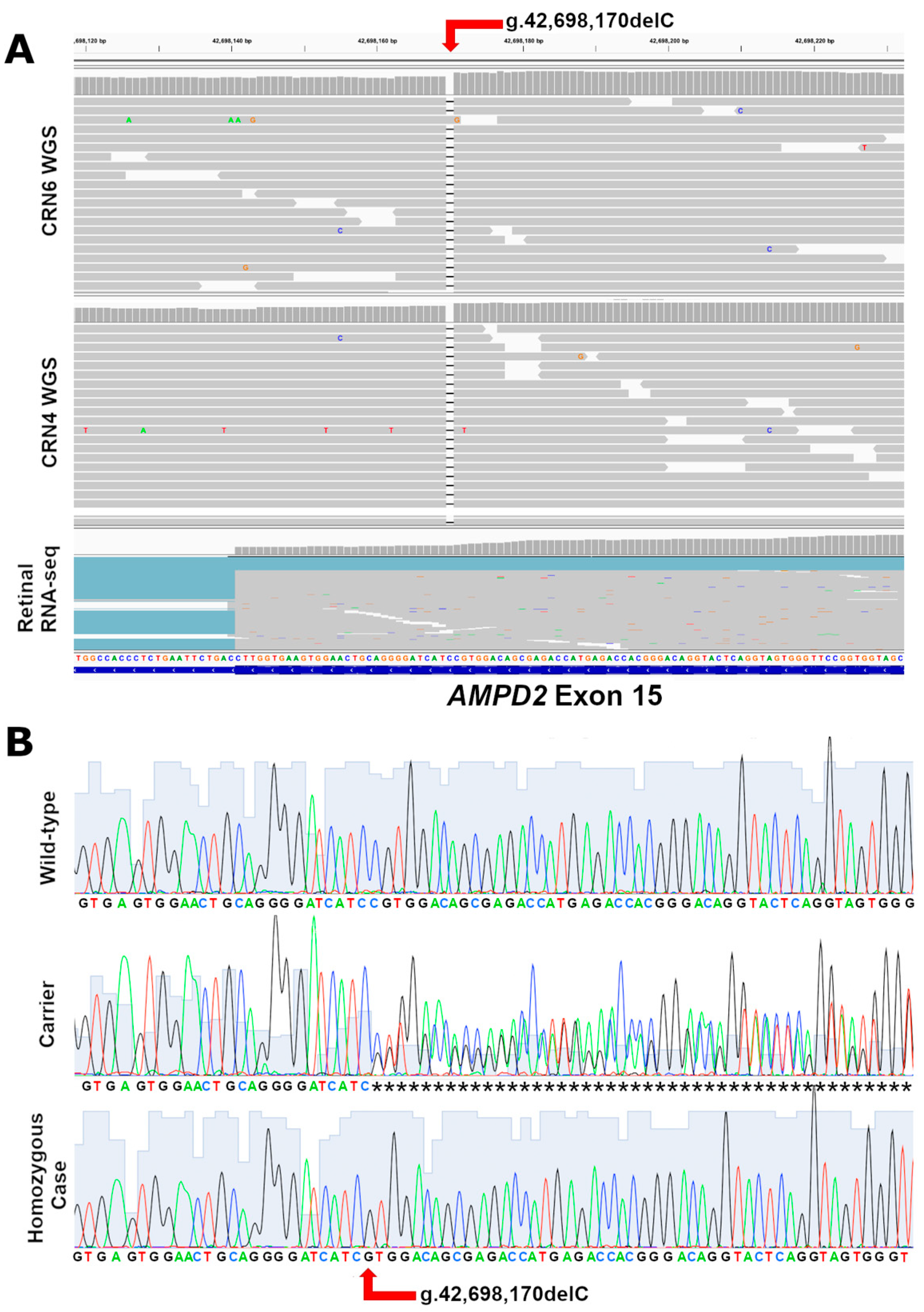 Genes 15 00238 g003 Genes 15 00238 g003
