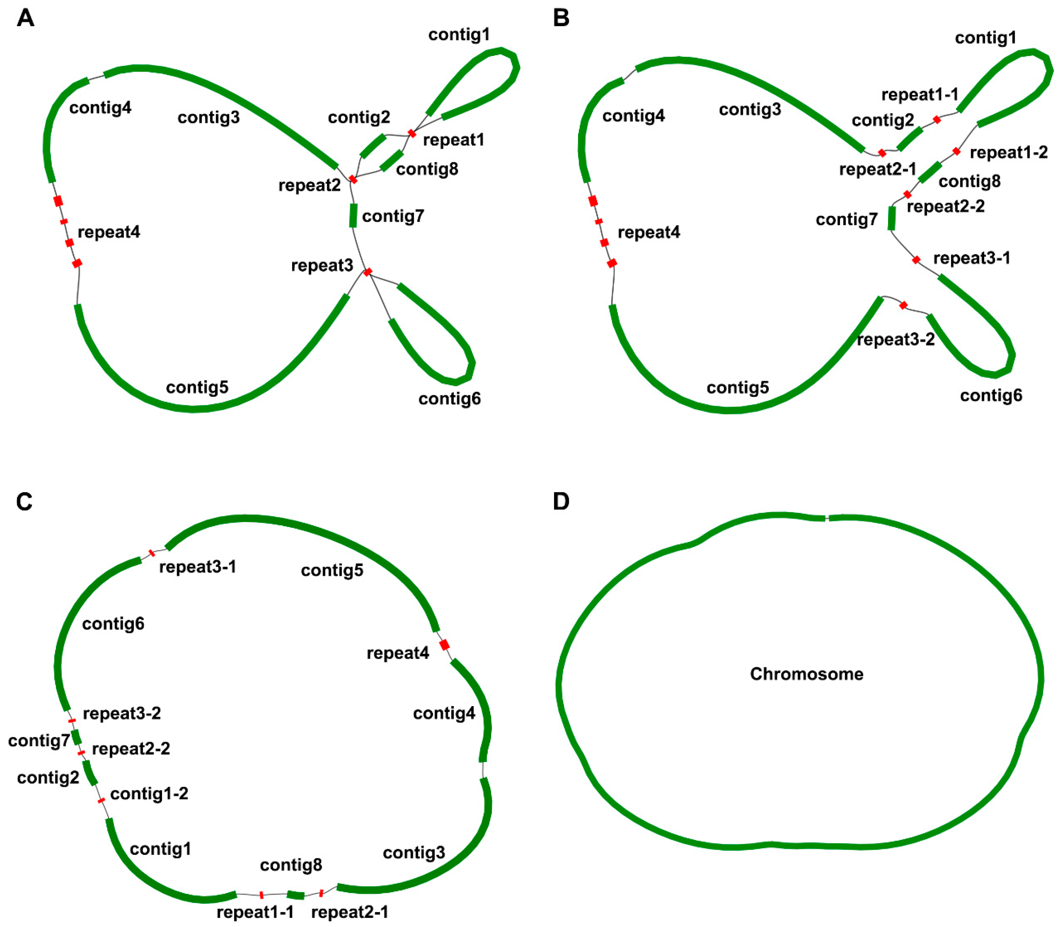 Genes 15 00239 g001