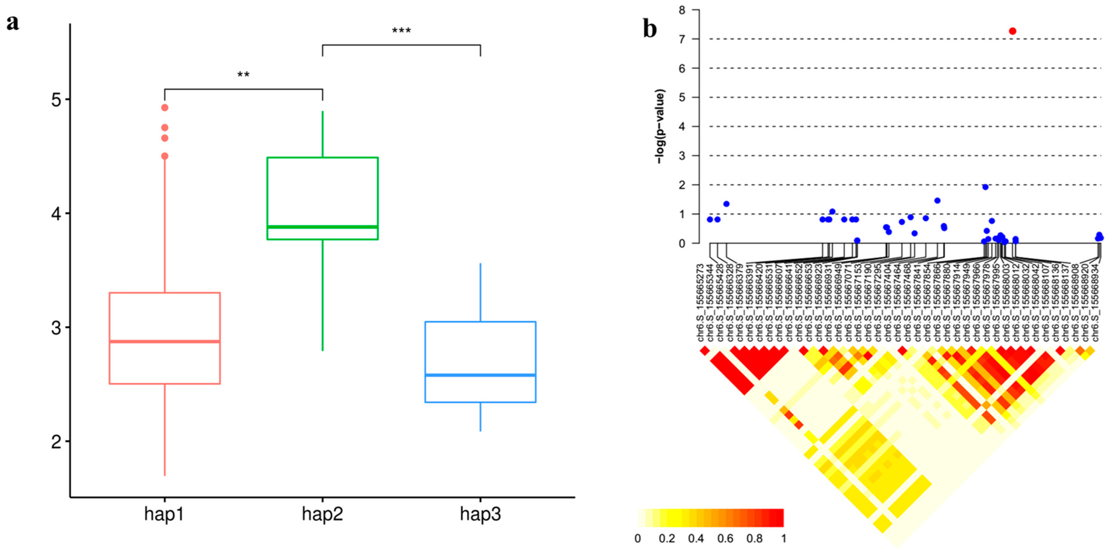 Genes 15 00257 g006