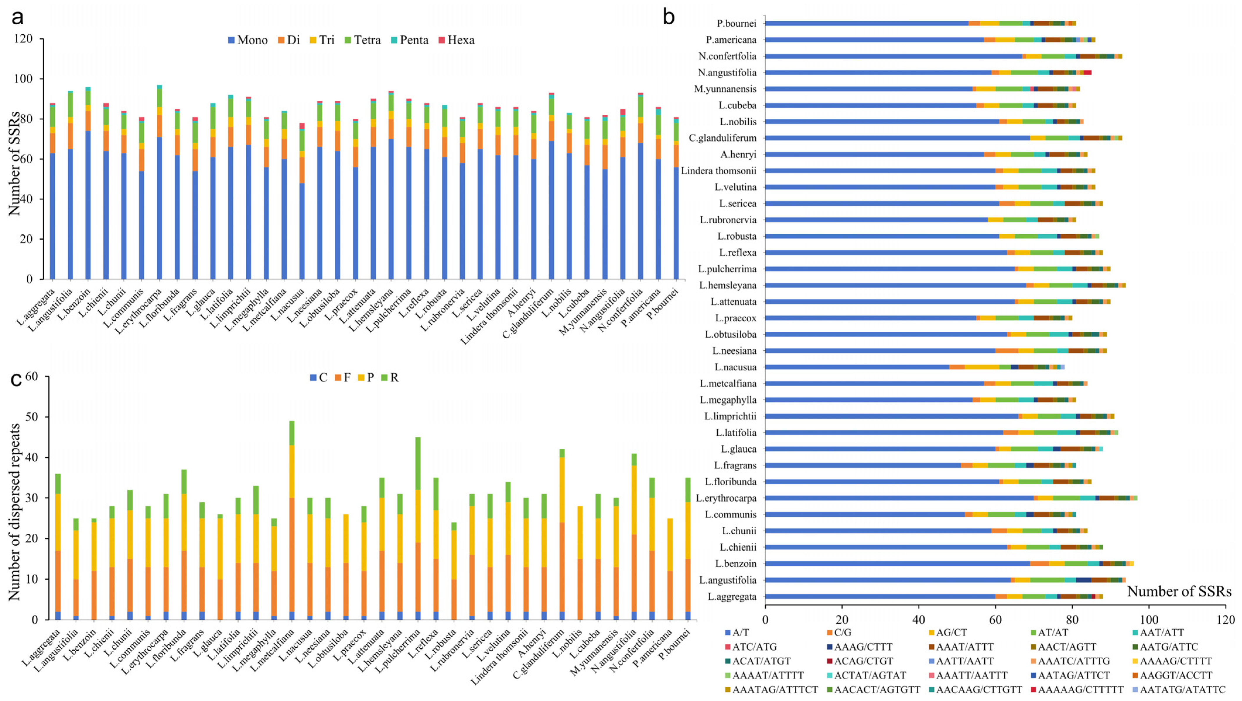 Genes 15 00263 g005