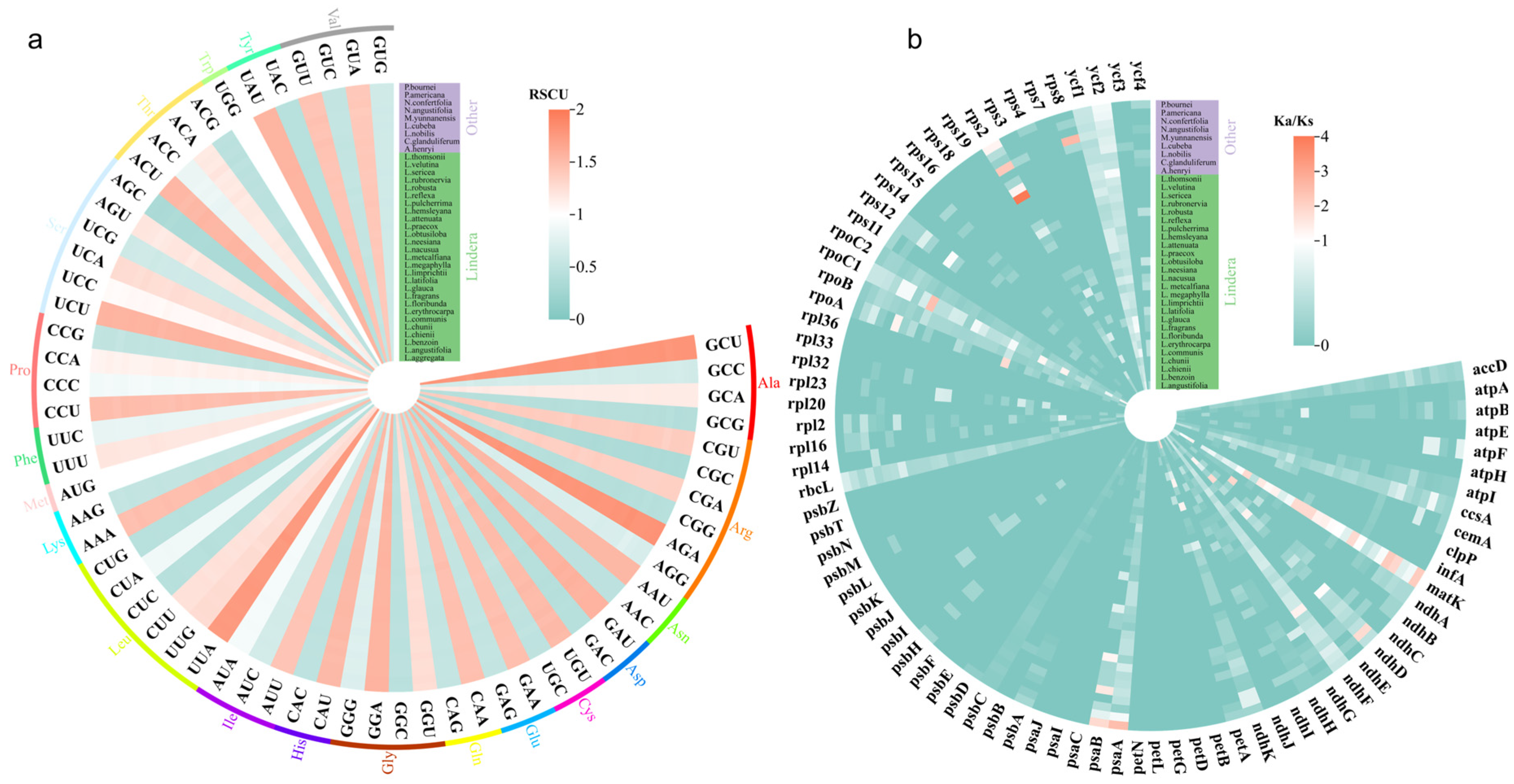 Genes 15 00263 g006
