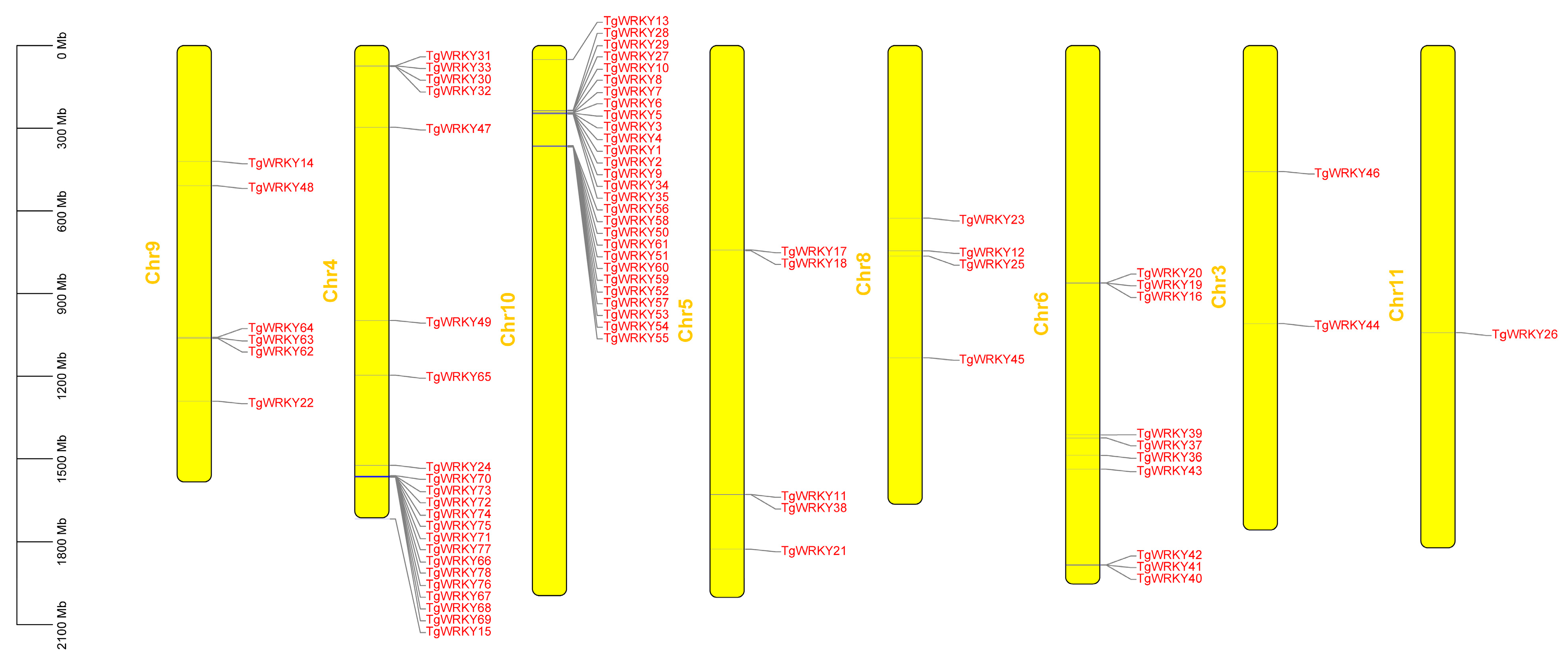 Genes 15 00267 g003