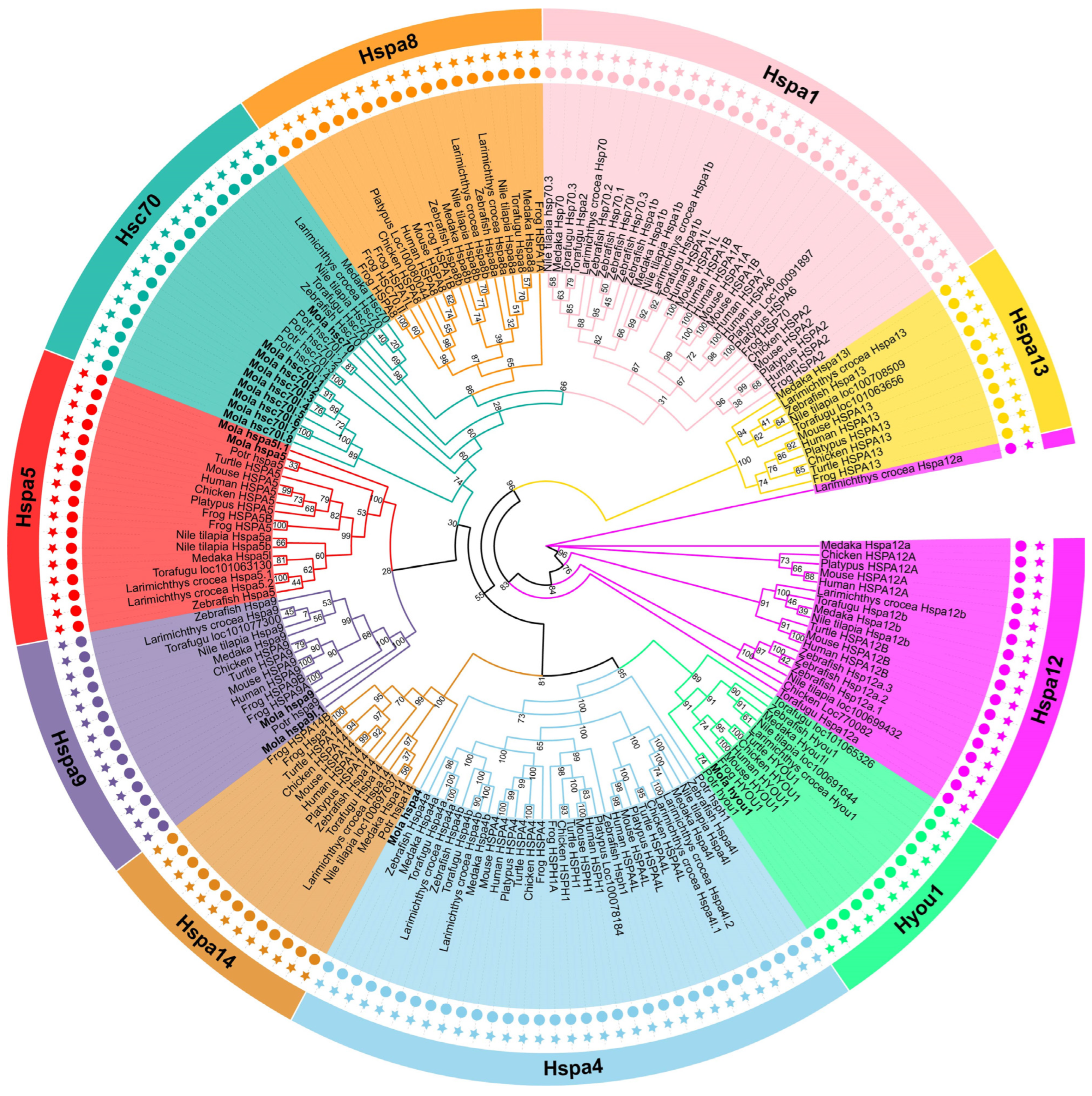 Genes 15 00291 g001