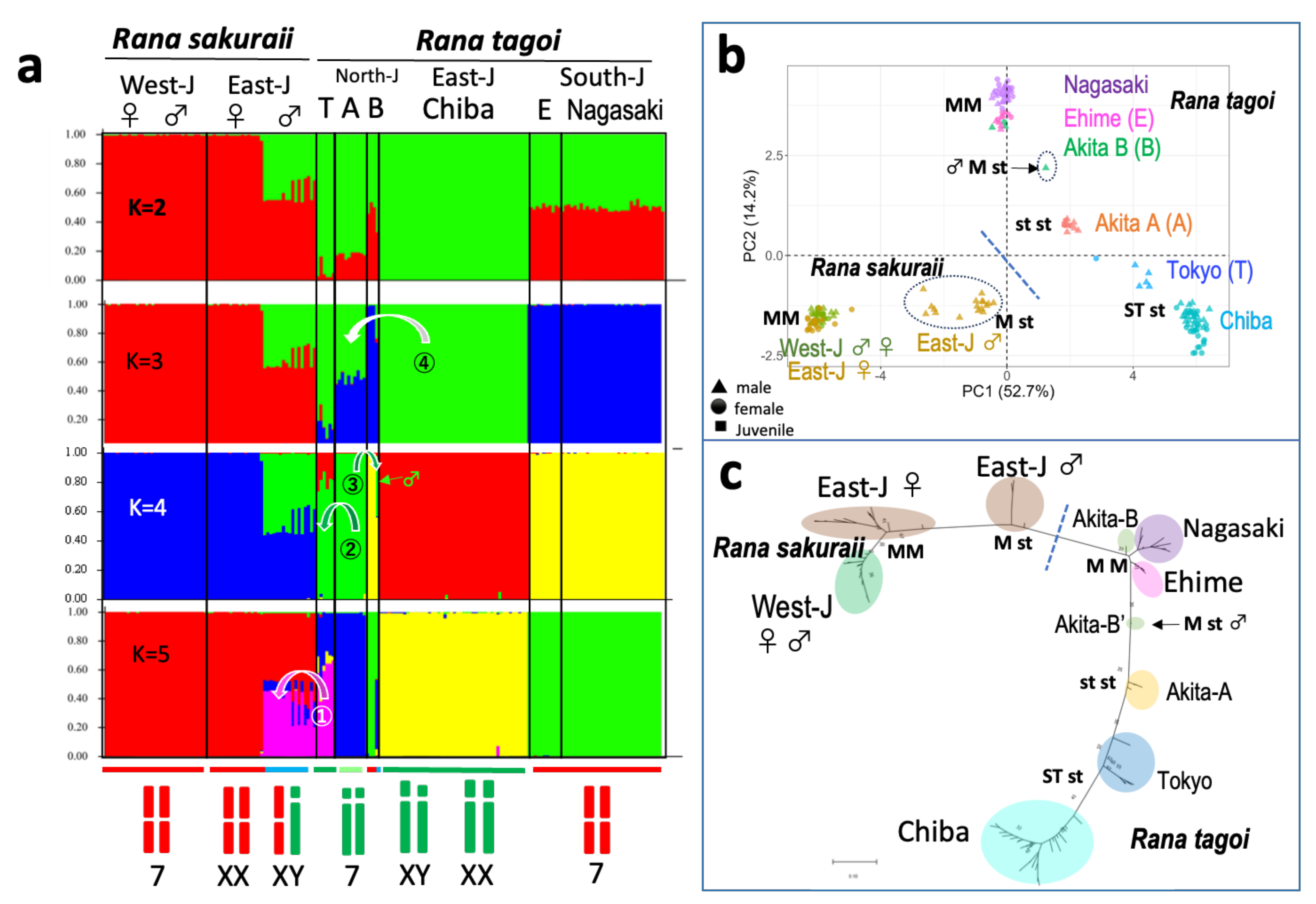 Genes 15 00300 g005