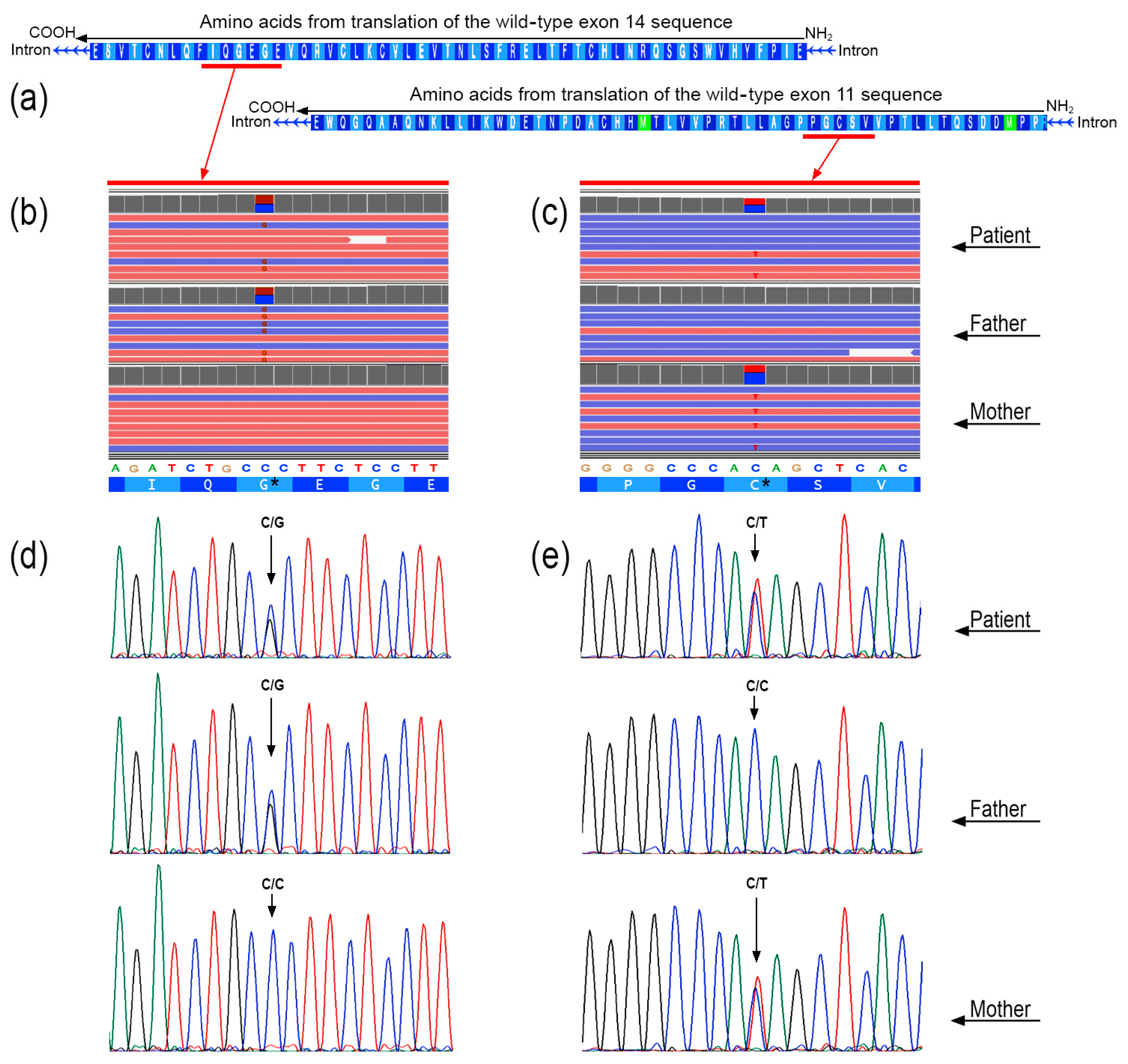 Genes 15 00306 g002 Genes 15 00306 g002