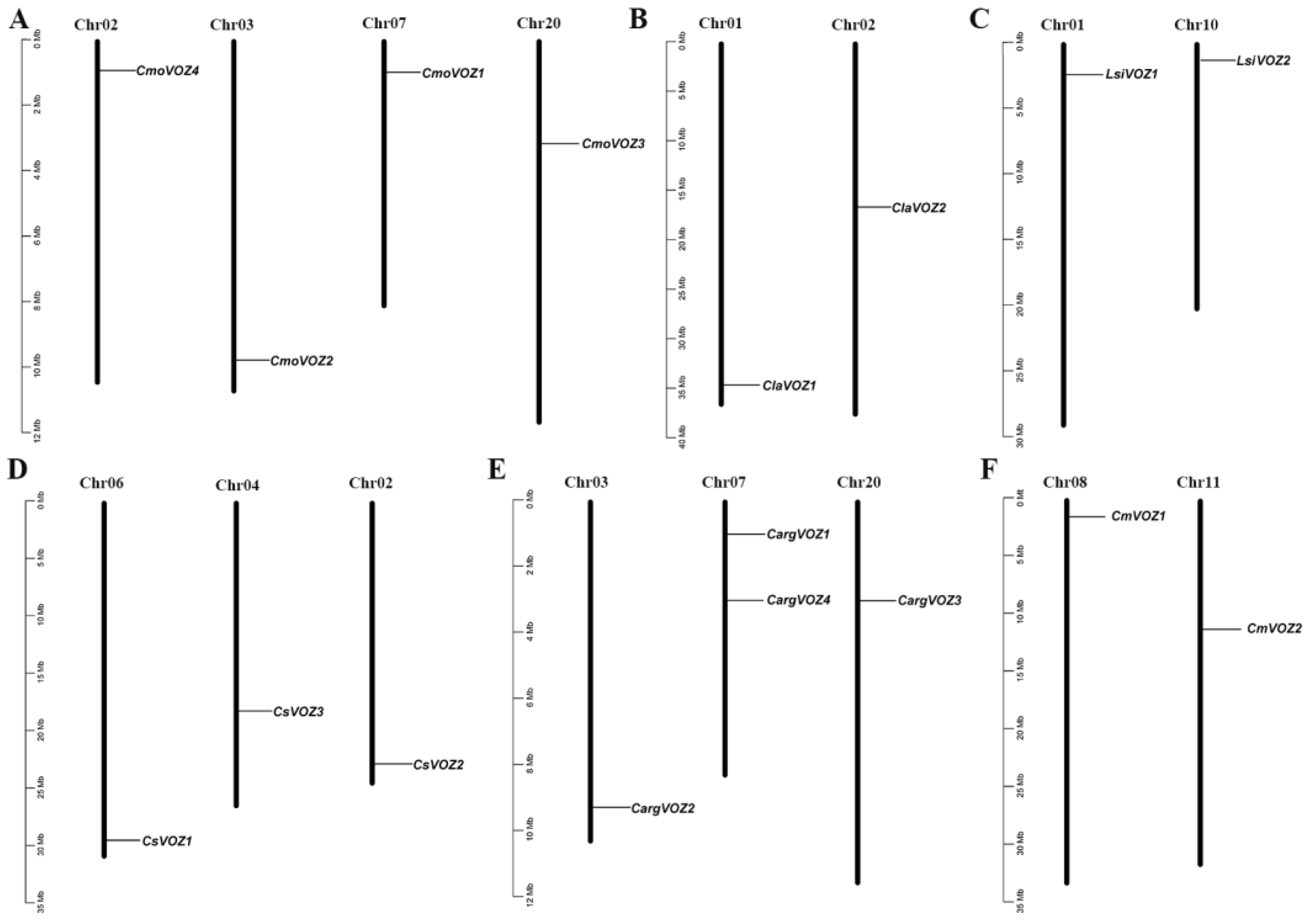 Genes 15 00307 g002