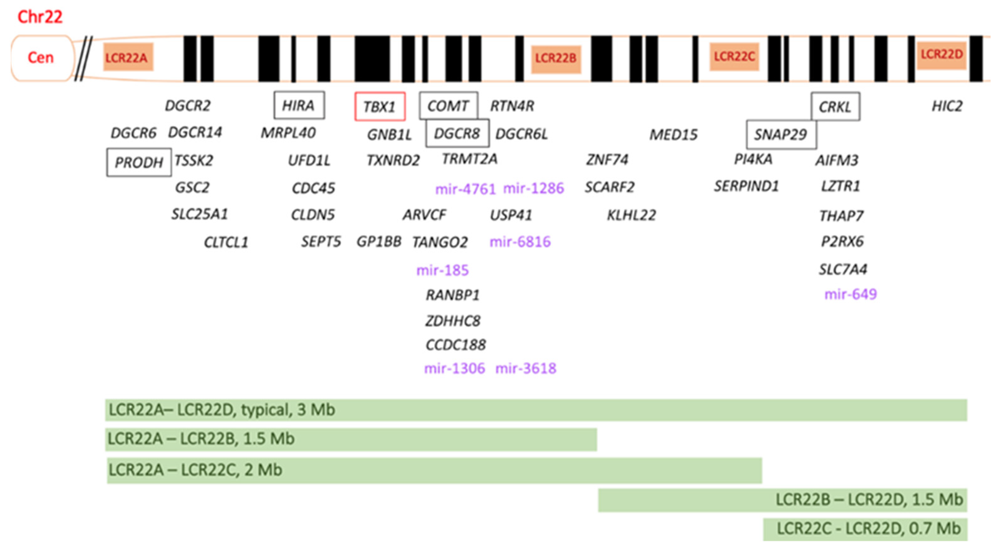Genes 15 00321 g001 Genes 15 00321 g001