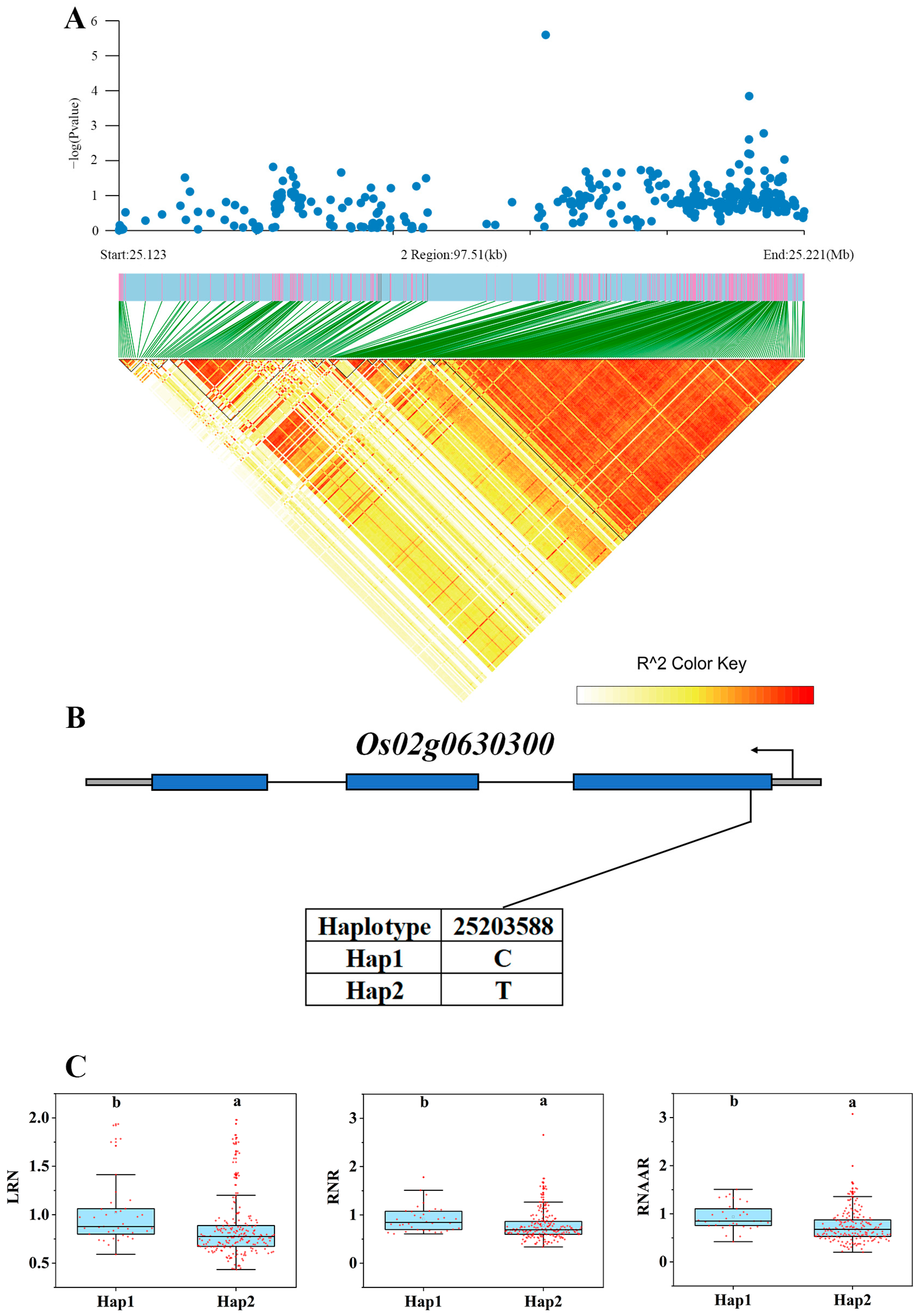 Genes 15 00327 g007