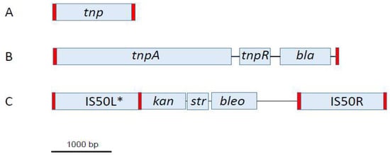 Genes, Free Full-Text