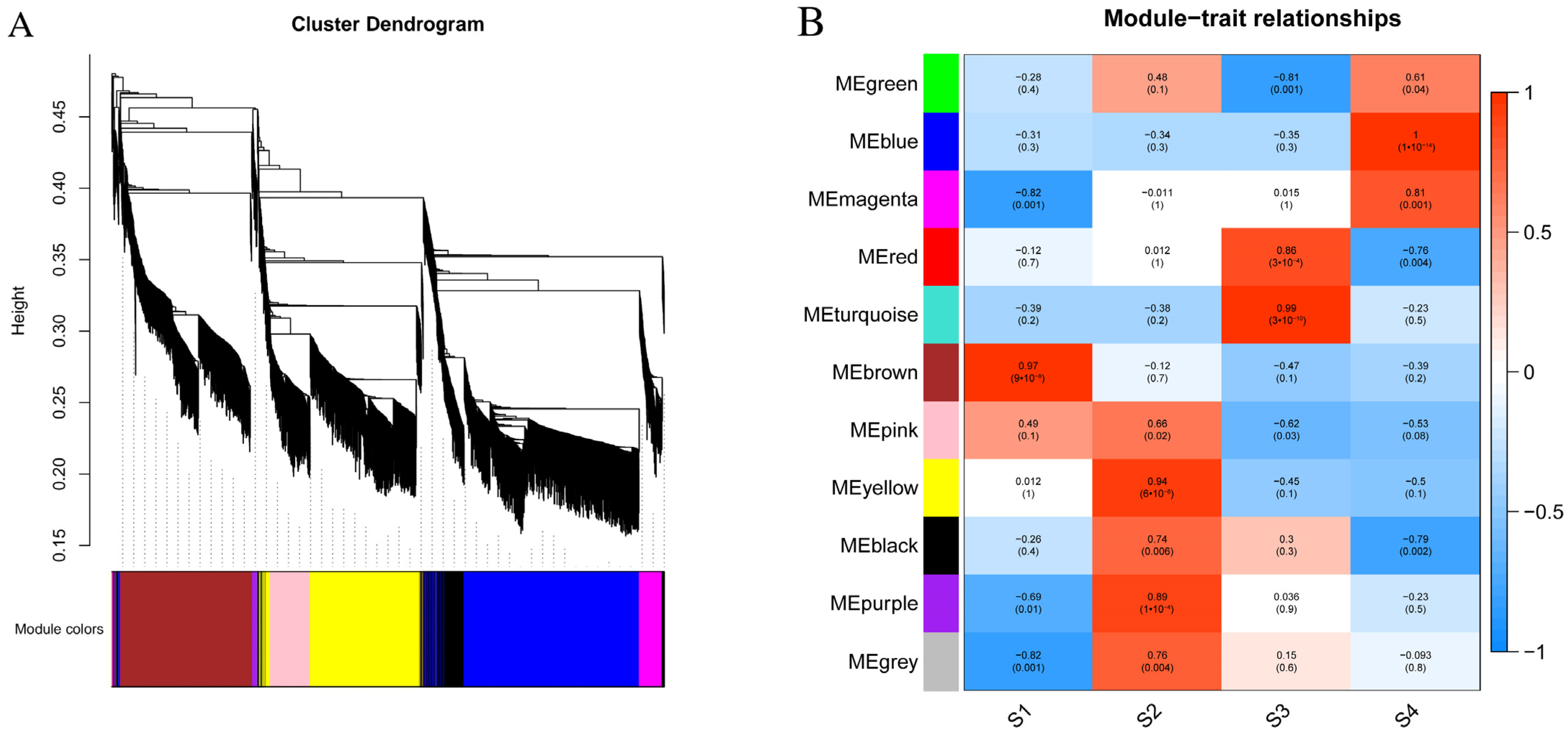 Genes 15 00329 g005