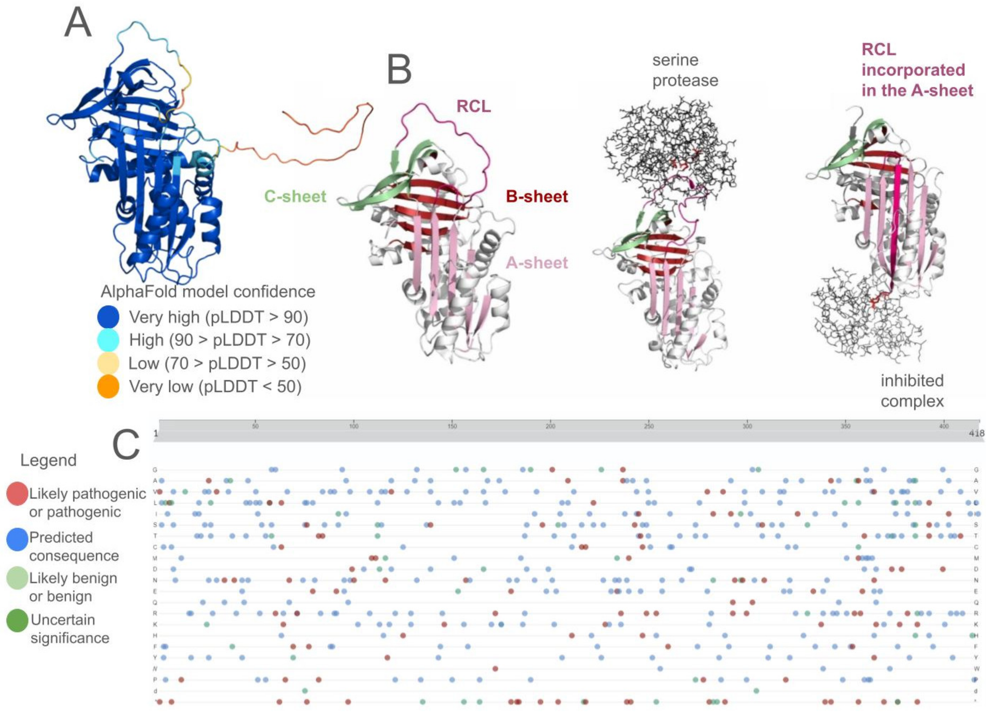 Genes 15 00340 g003