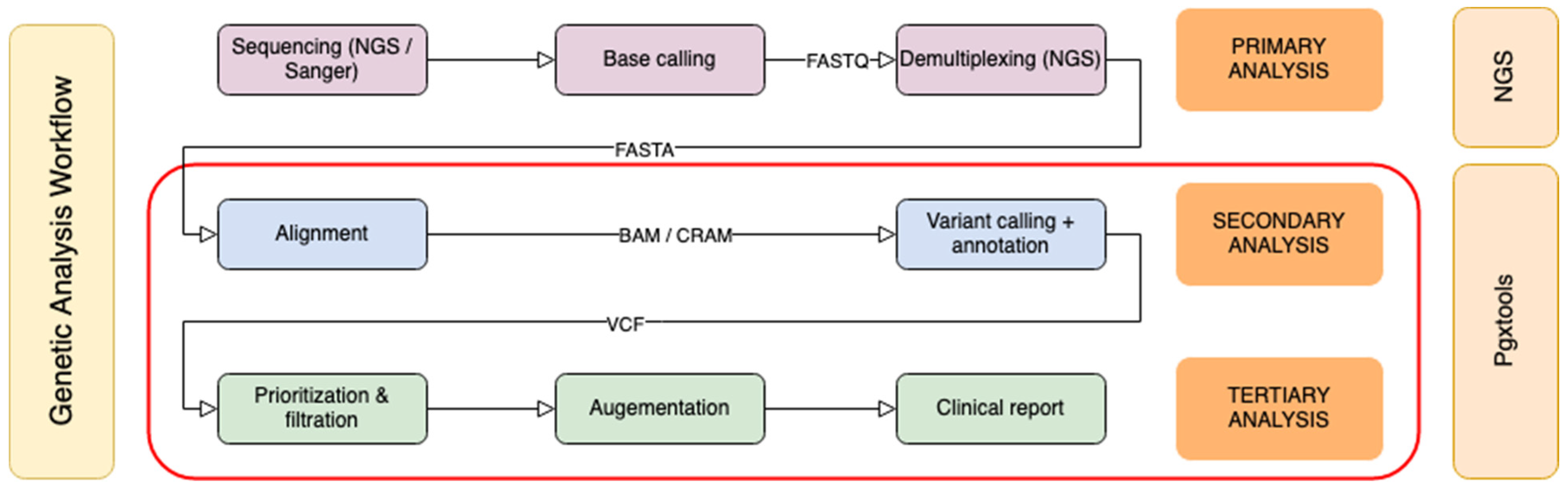 Genes 15 00352 g001
