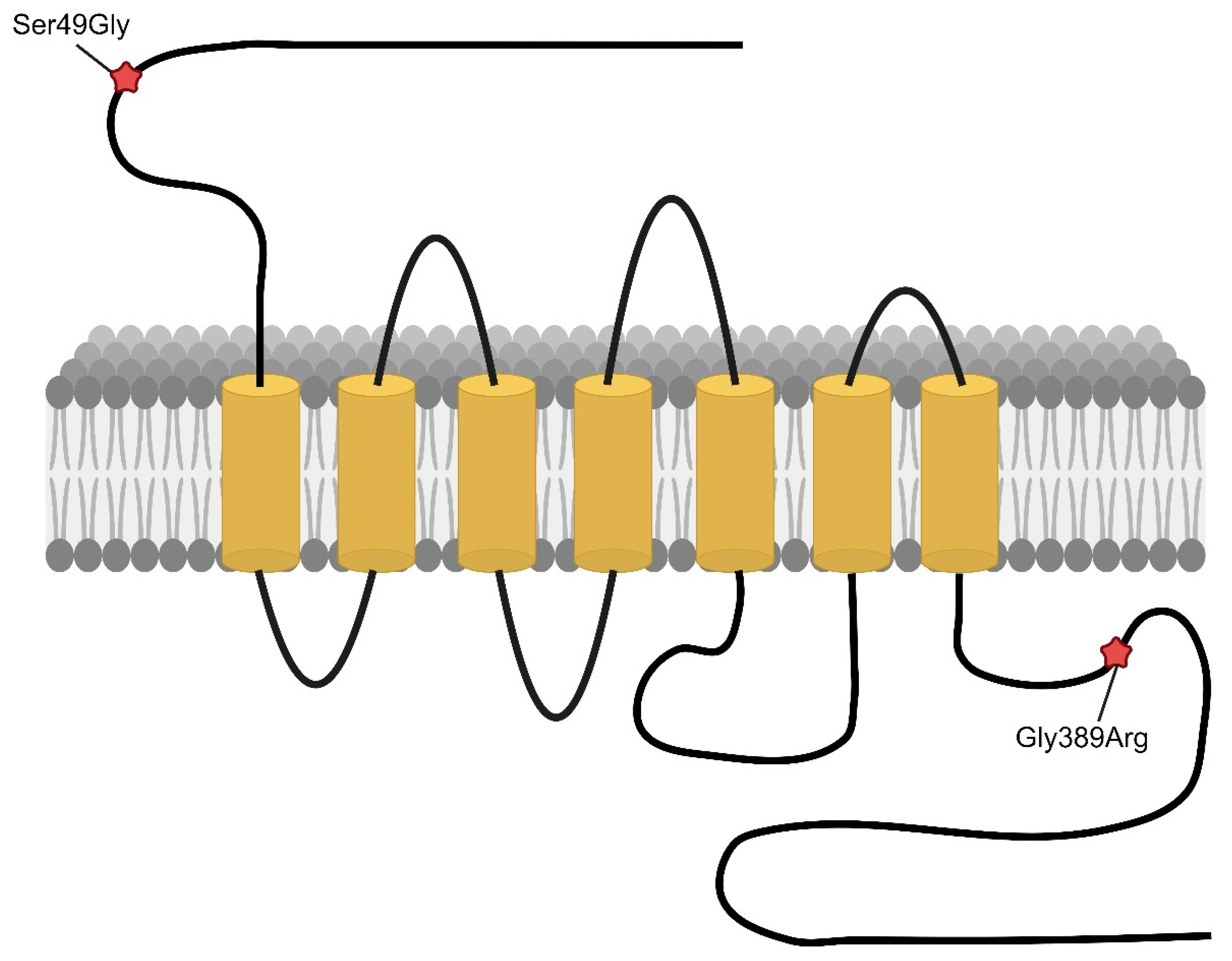 Genes 15 00379 g003 Genes 15 00379 g003