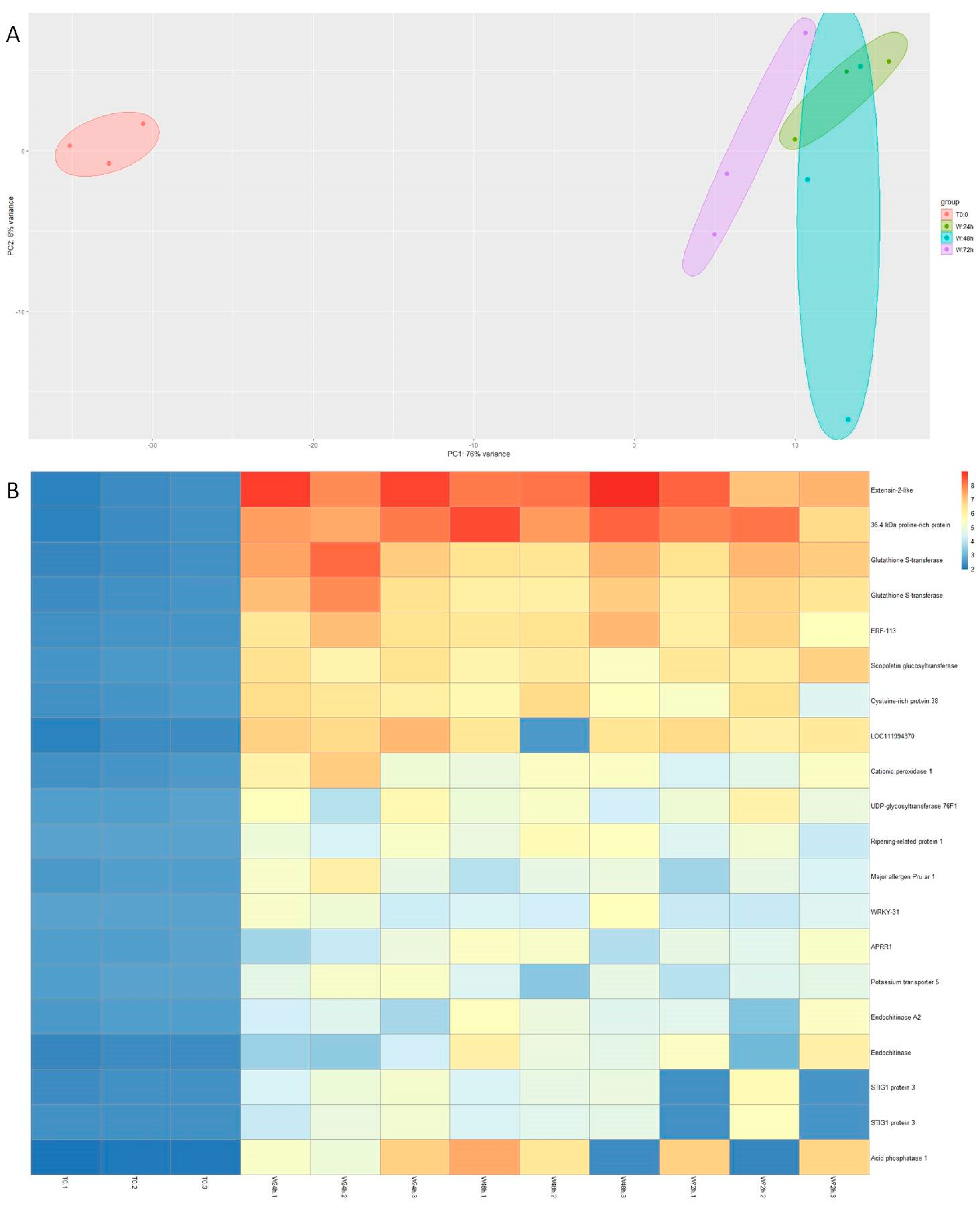 Genes 15 00388 g002