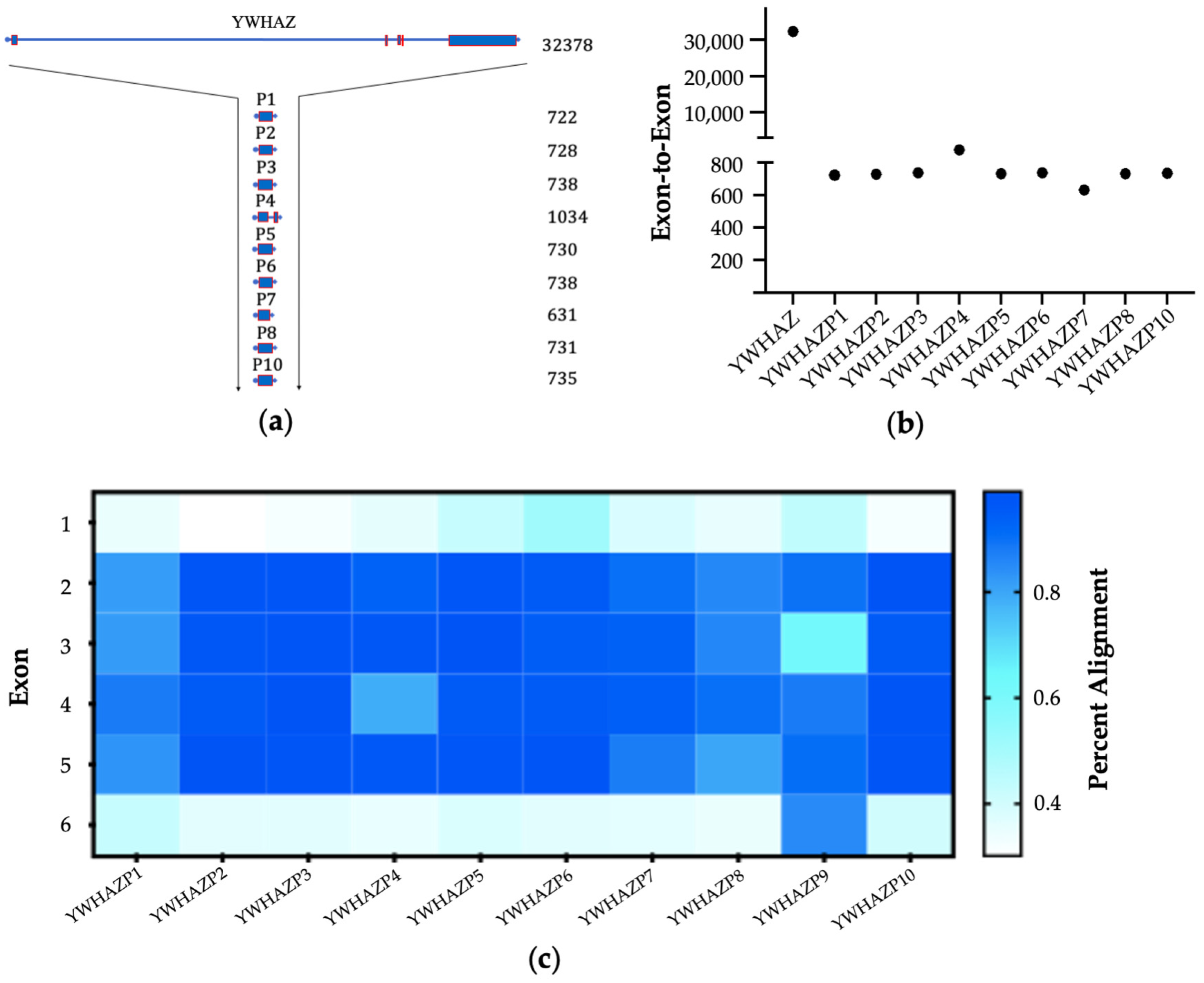 Genes 15 00399 g001 Genes 15 00399 g001