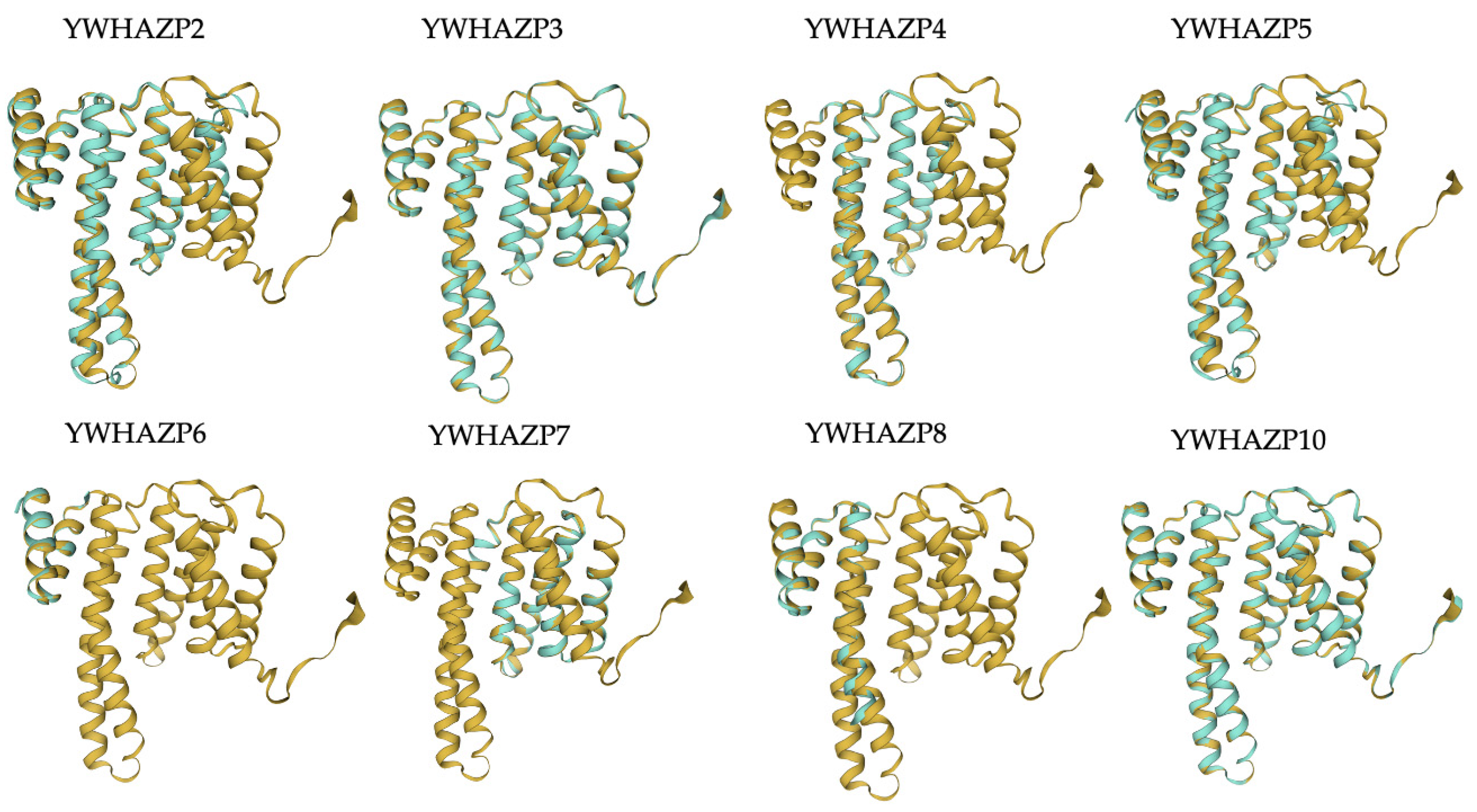 Genes 15 00399 g003 Genes 15 00399 g003