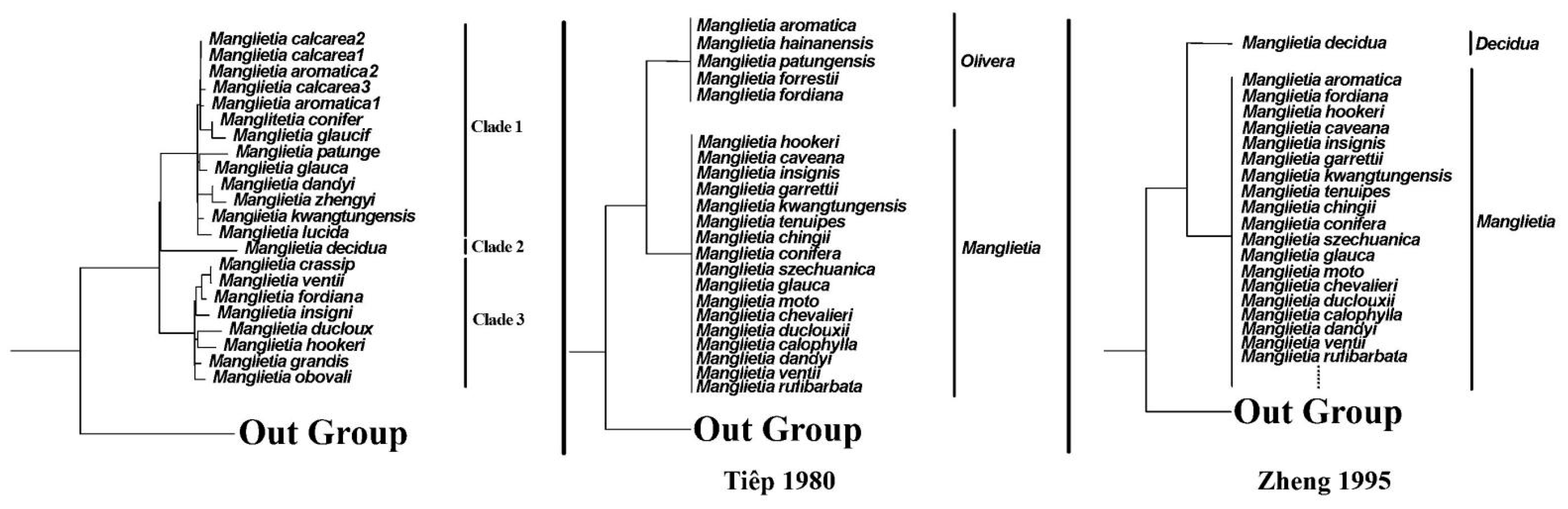 Genes 15 00406 g008