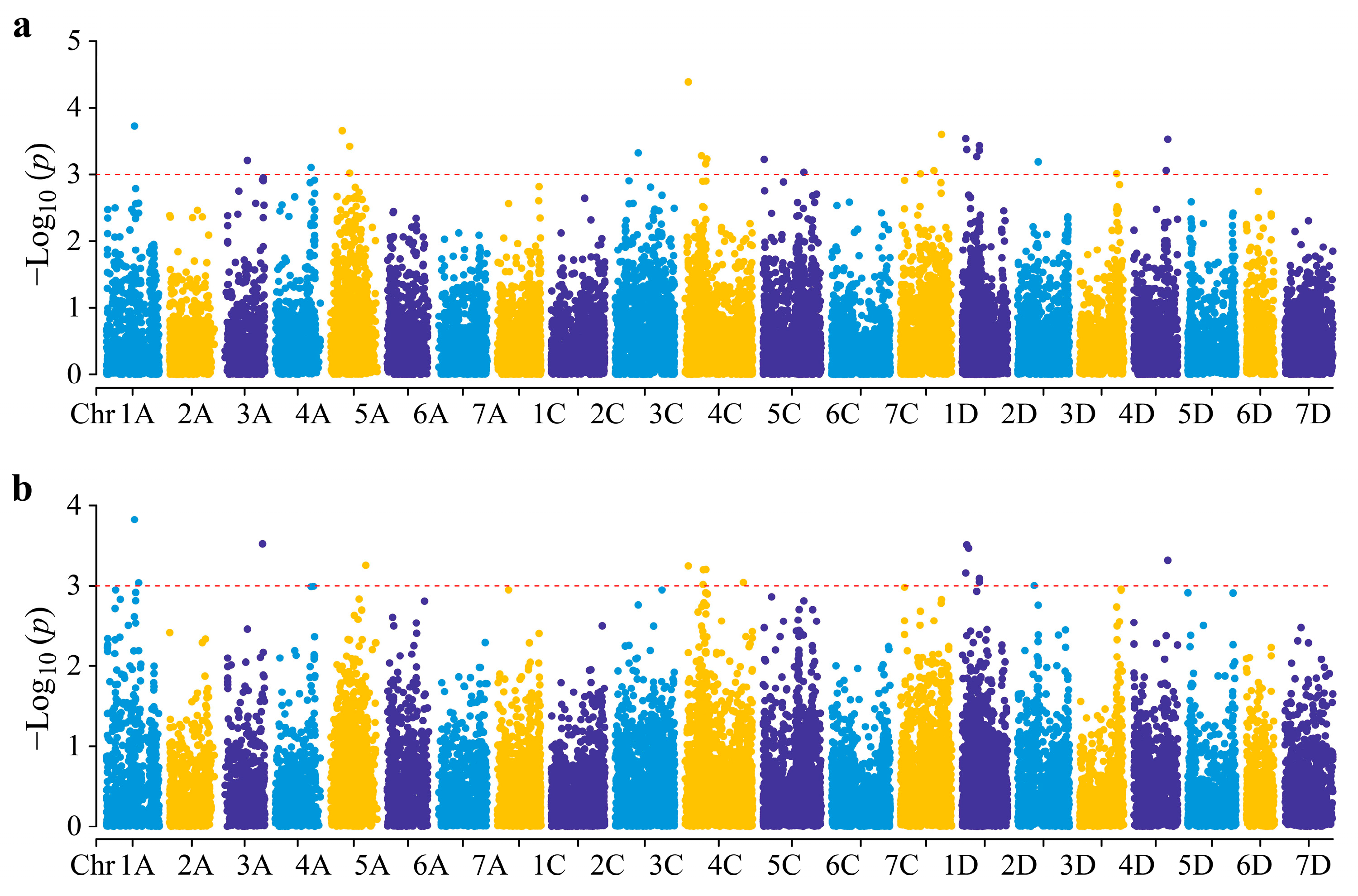 Genes 15 00411 g003