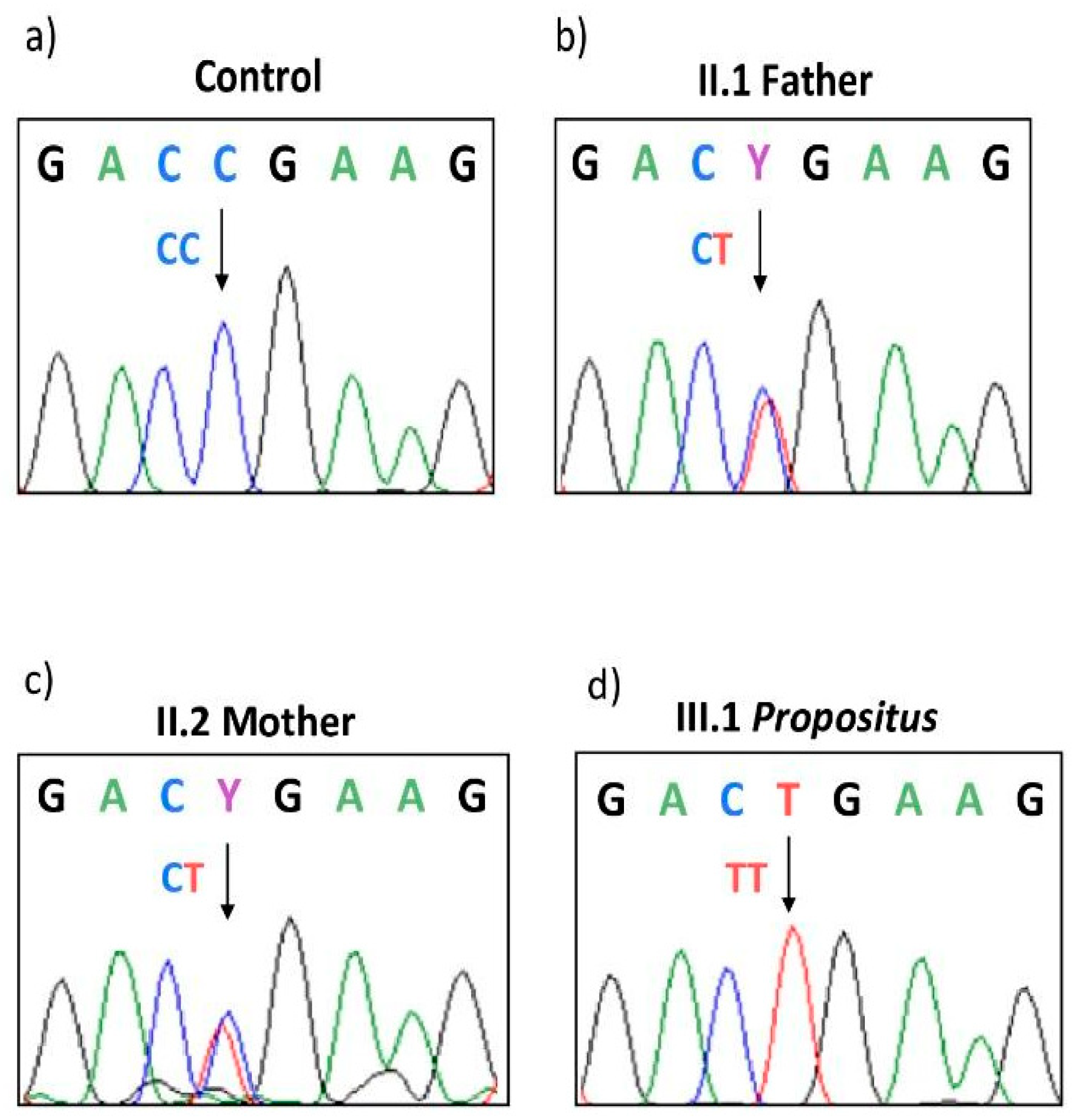 Genes 15 00432 g002 Genes 15 00432 g002