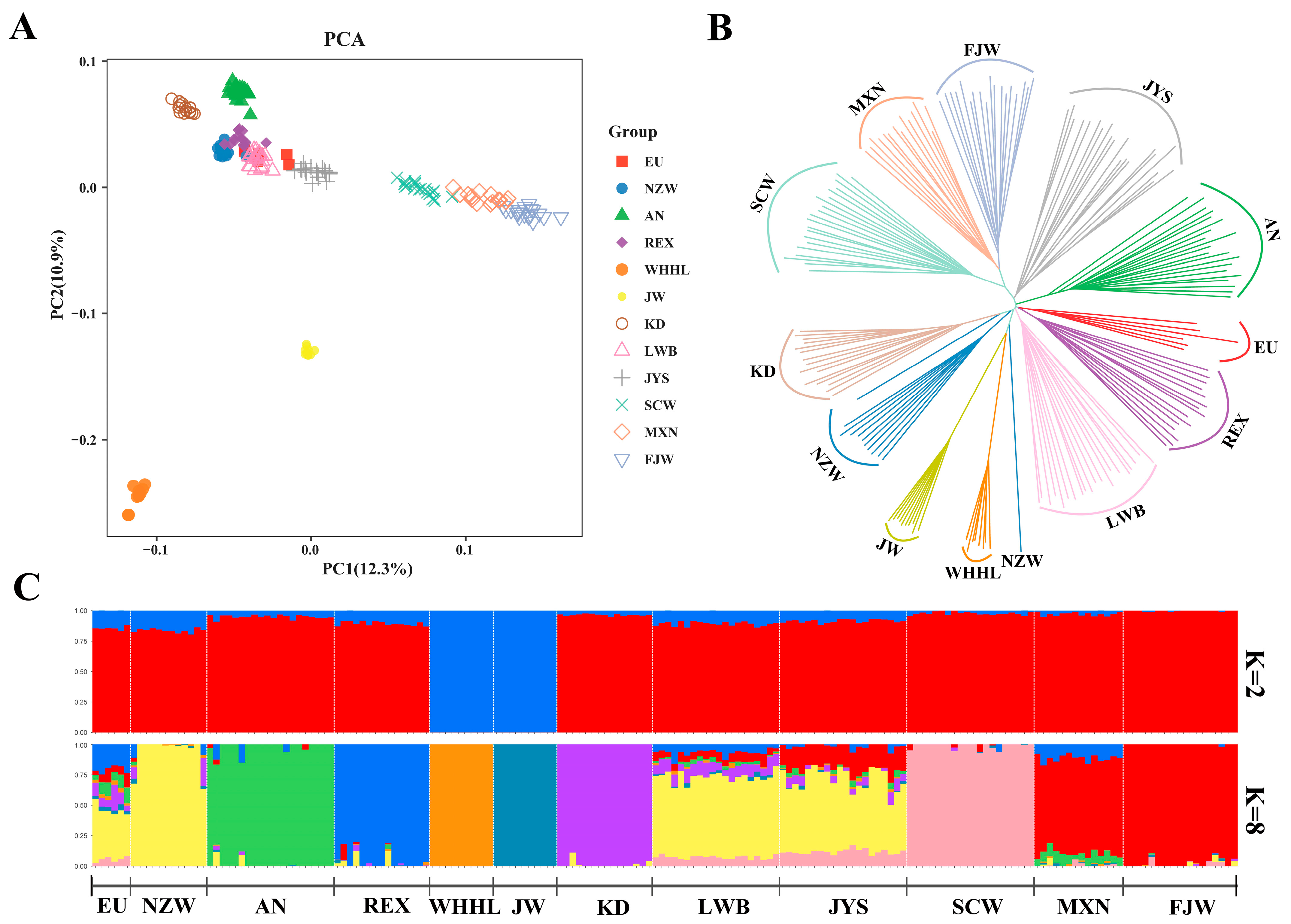 Genes 15 00433 g002 Genes 15 00433 g002