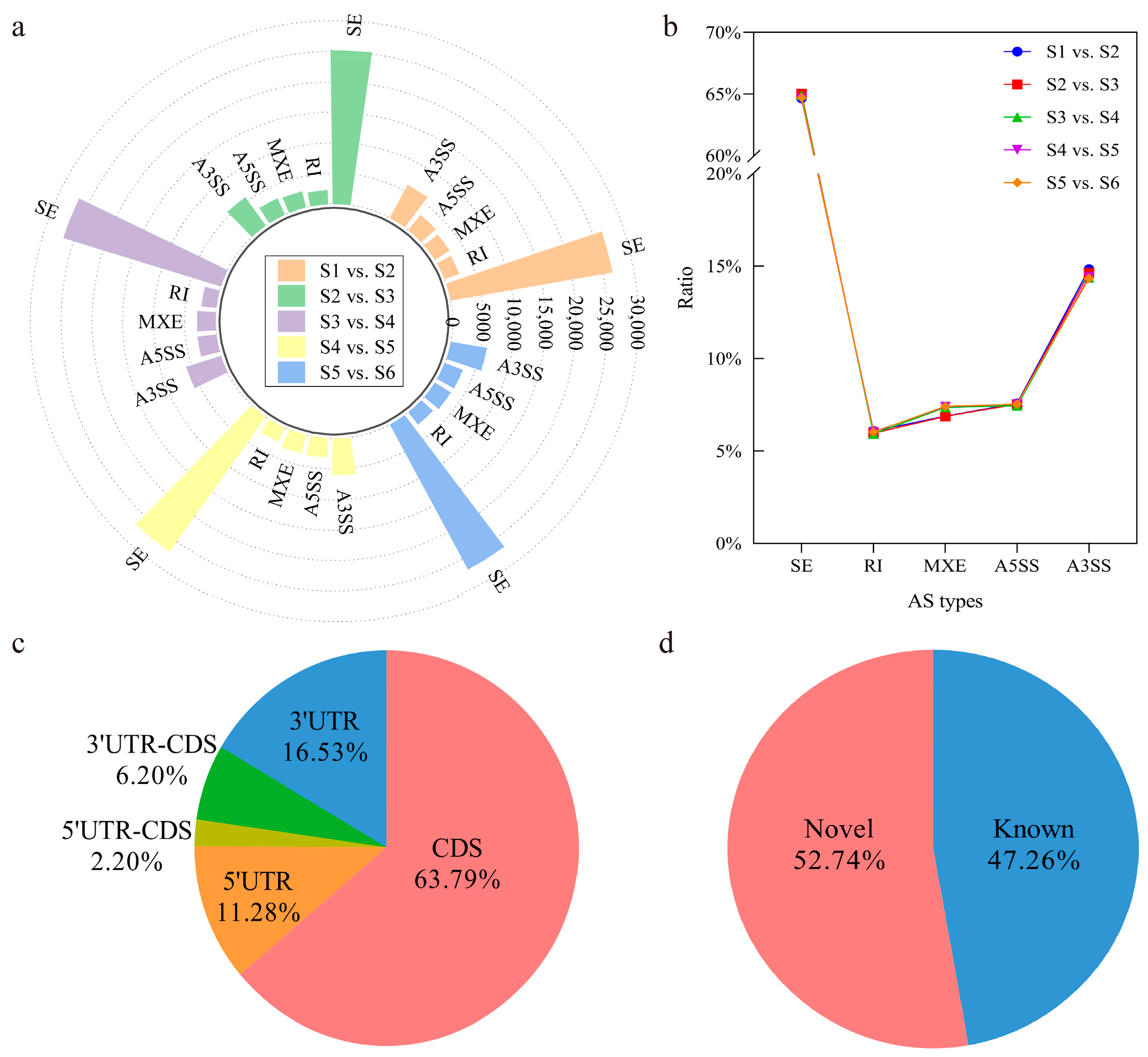 Genes 15 00459 g001