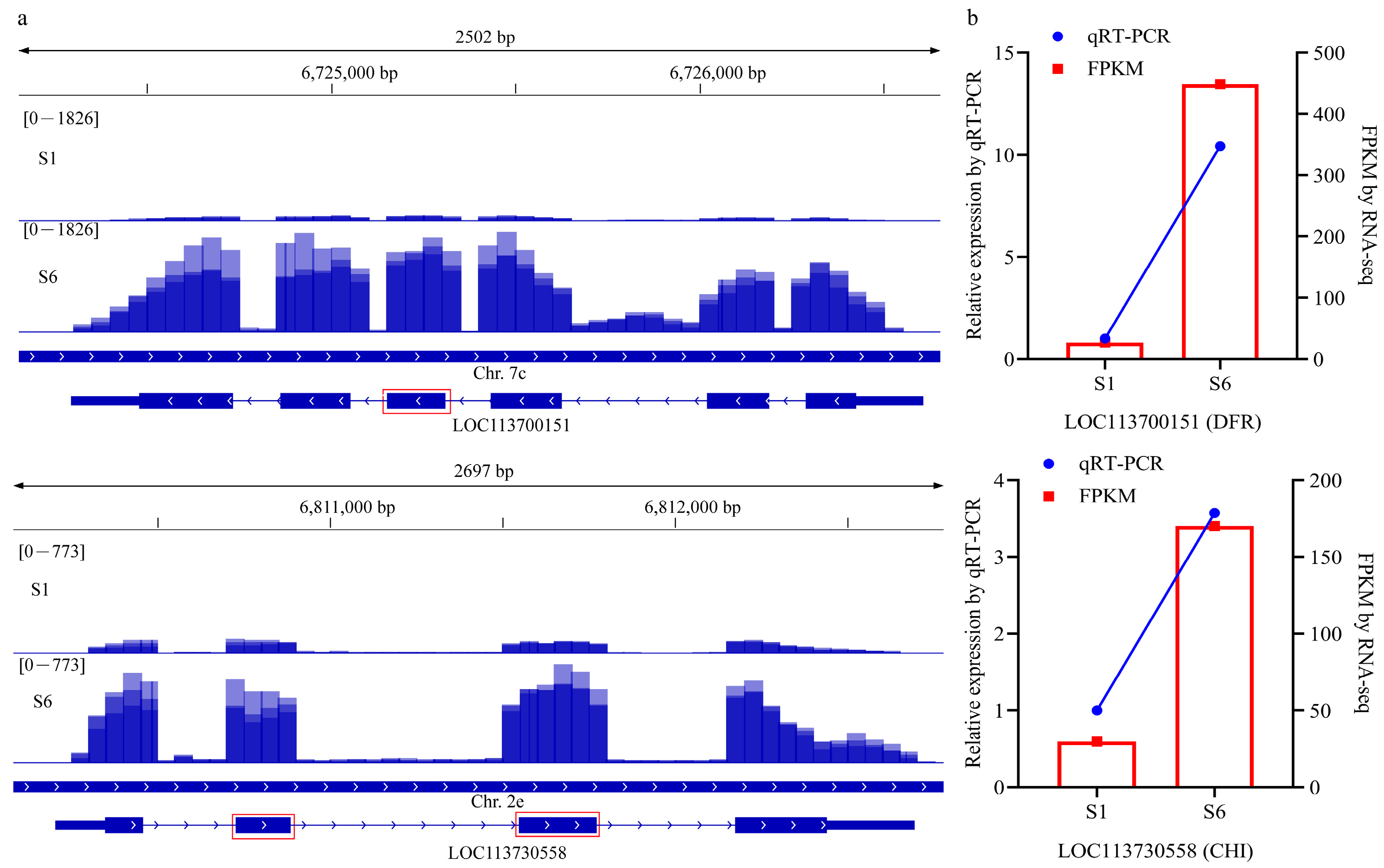 Genes 15 00459 g005