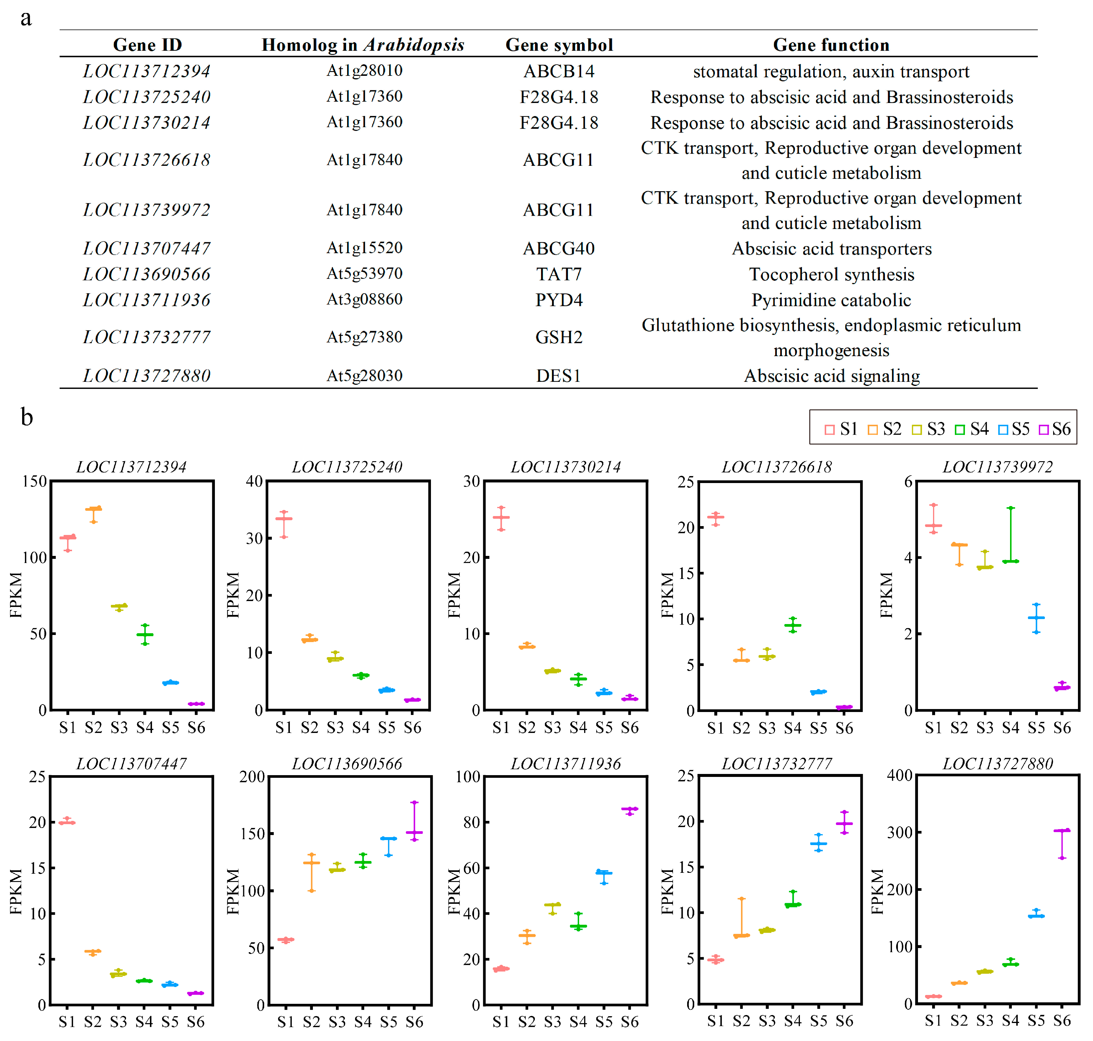 Genes 15 00459 g007