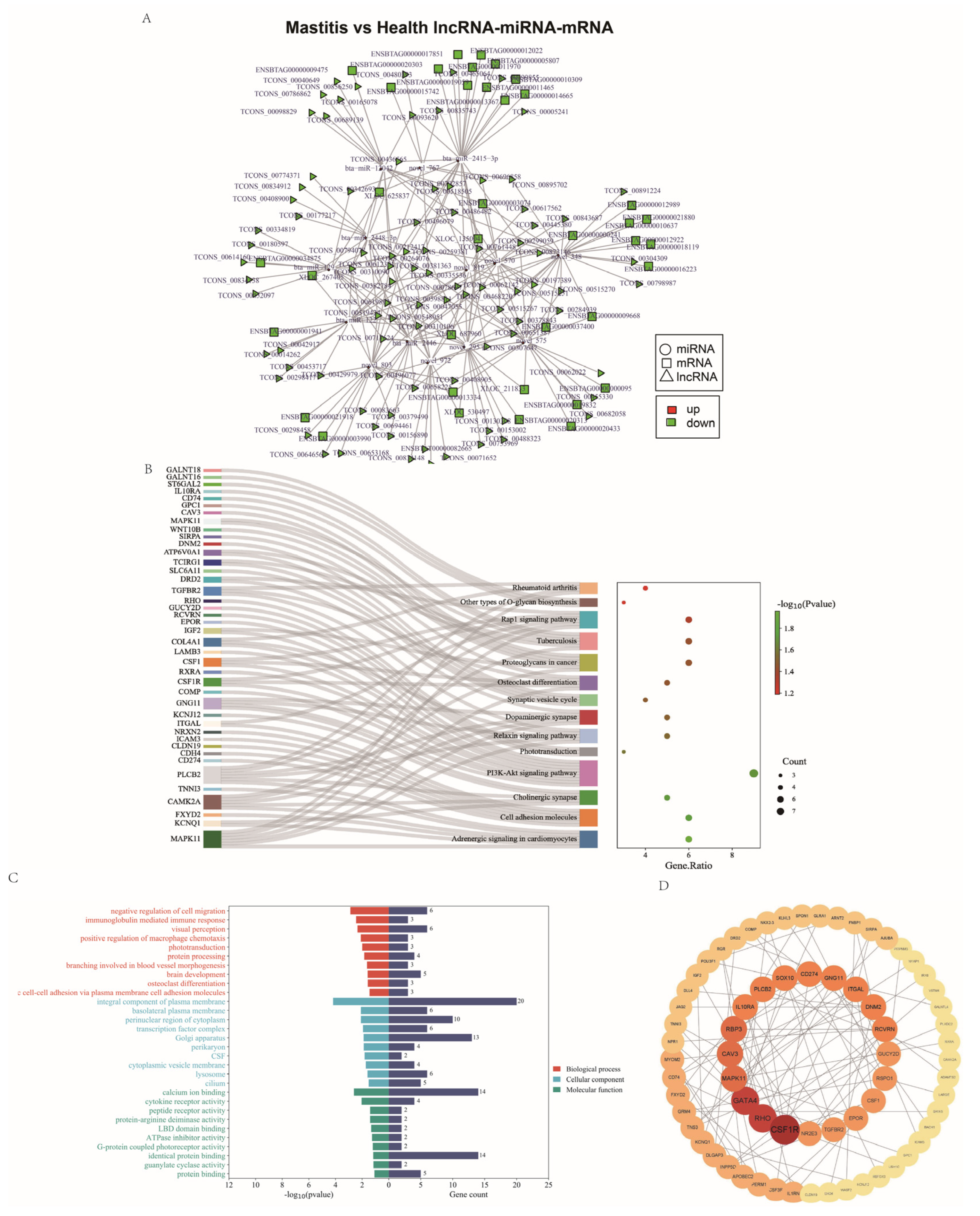 Genes 15 00465 g008