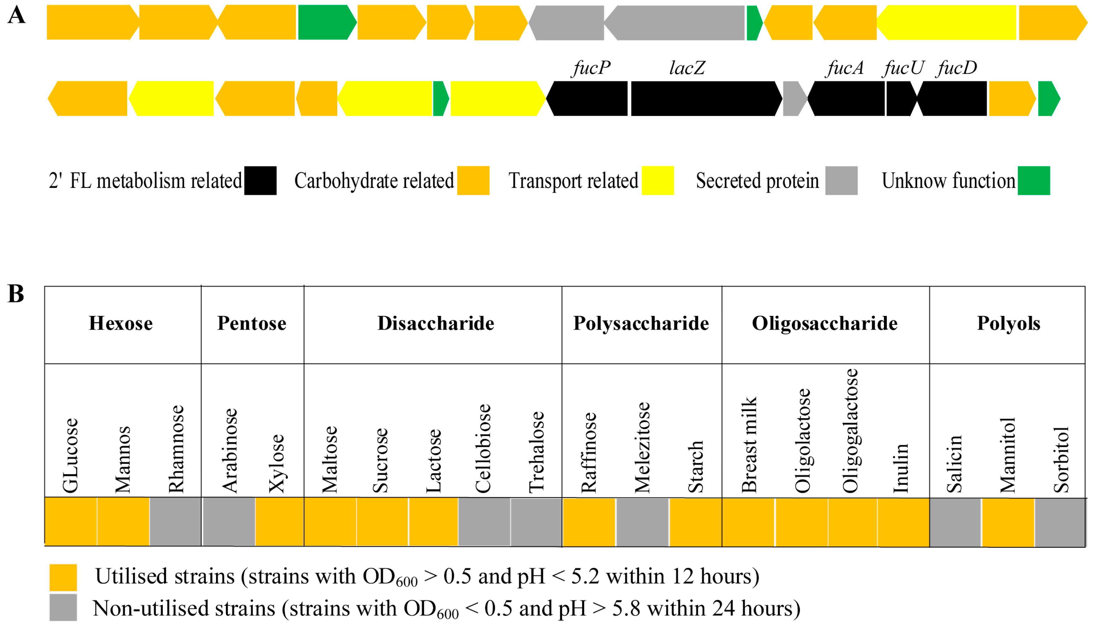 Genes 15 00466 g005