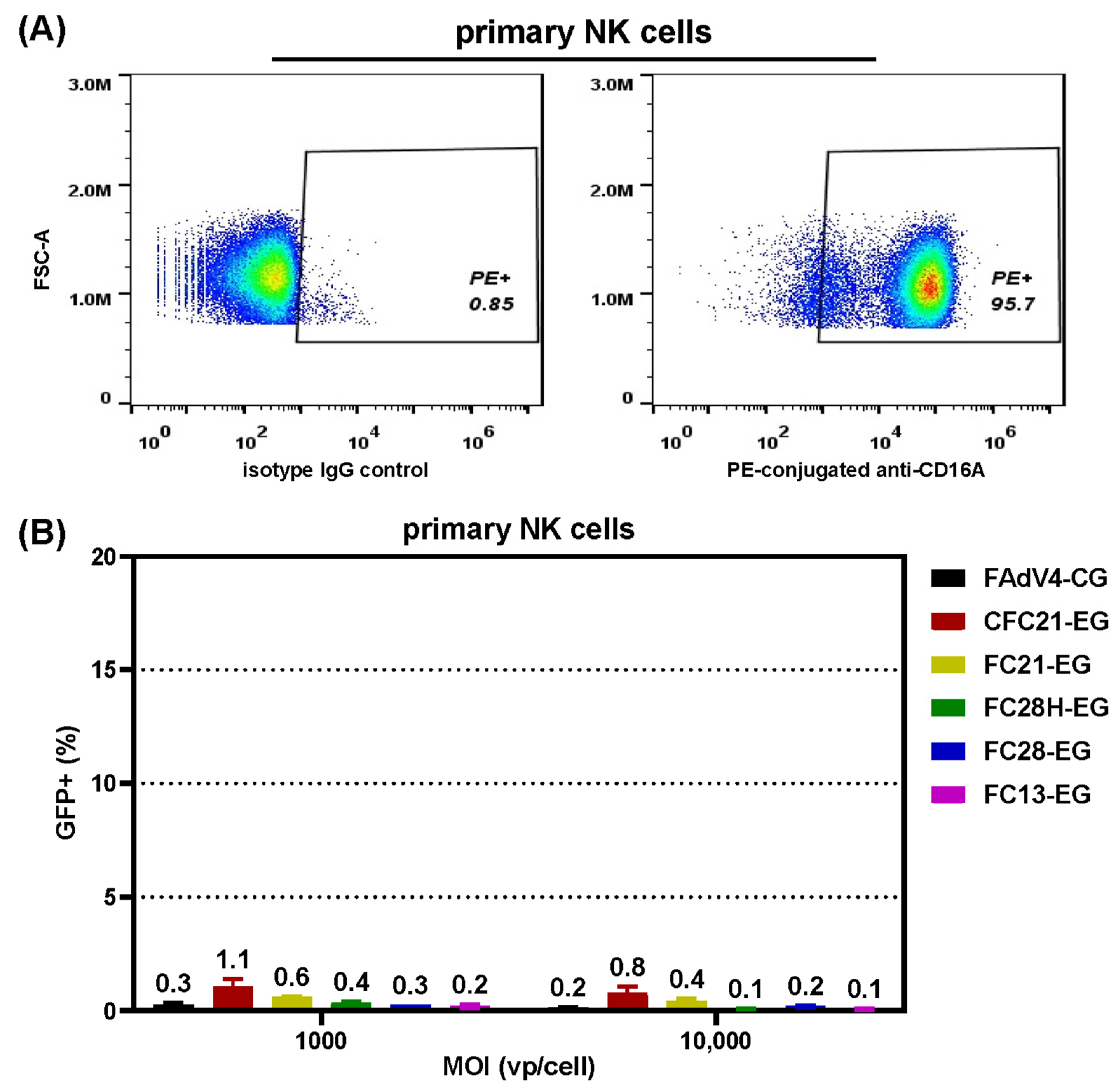 Genes 15 00467 g007