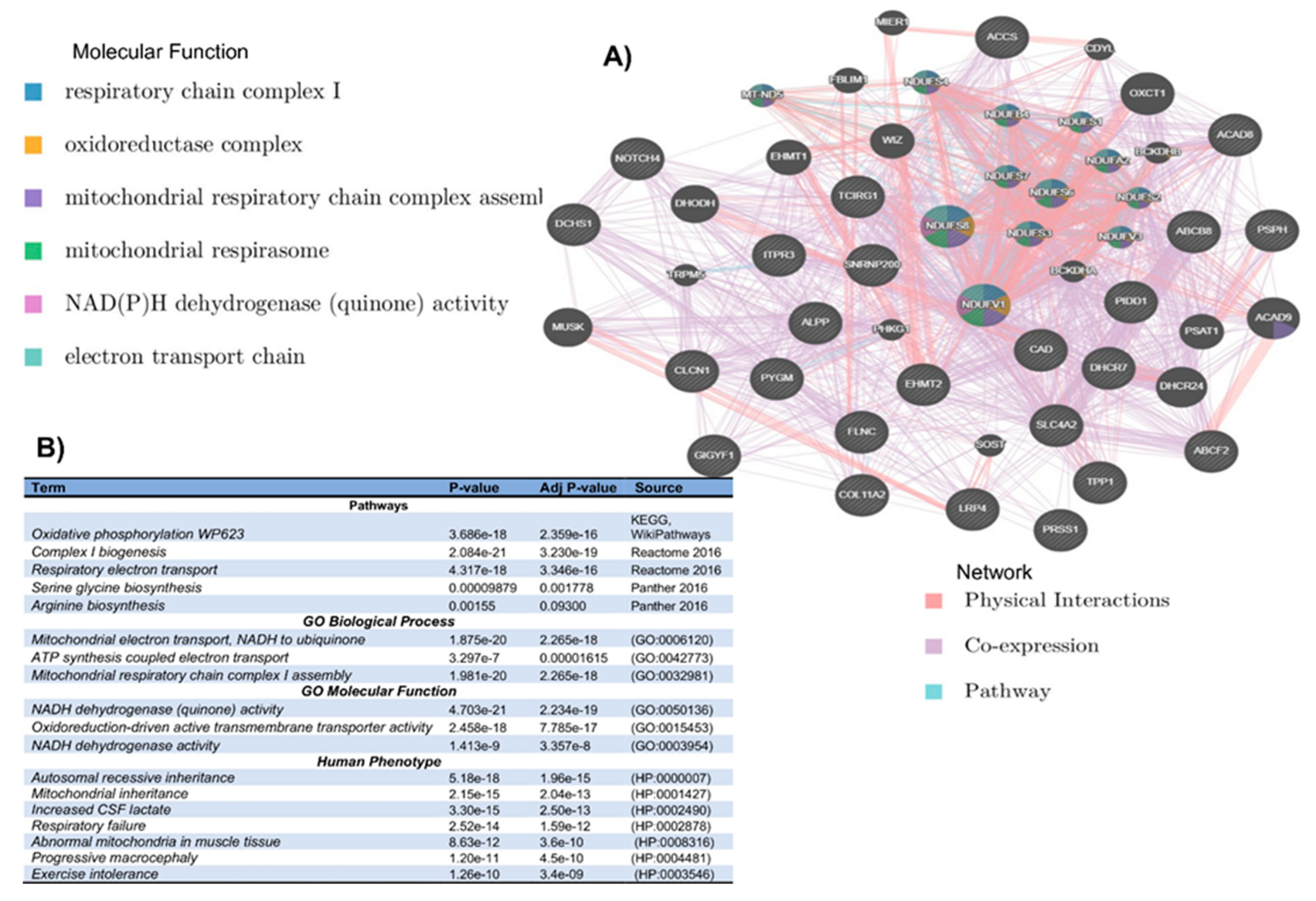 Genes 15 00469 g001
