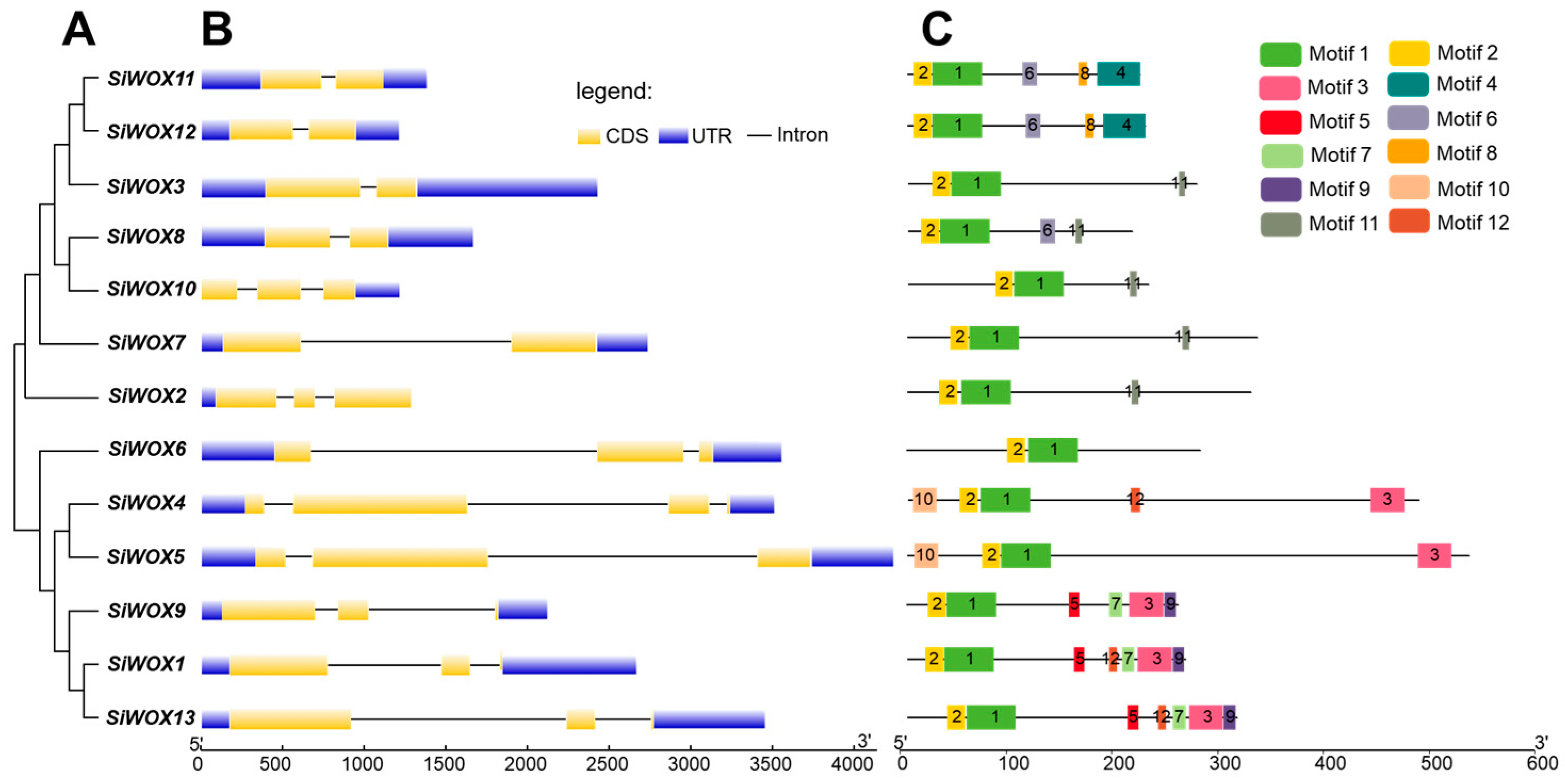 Genes 15 00476 g003