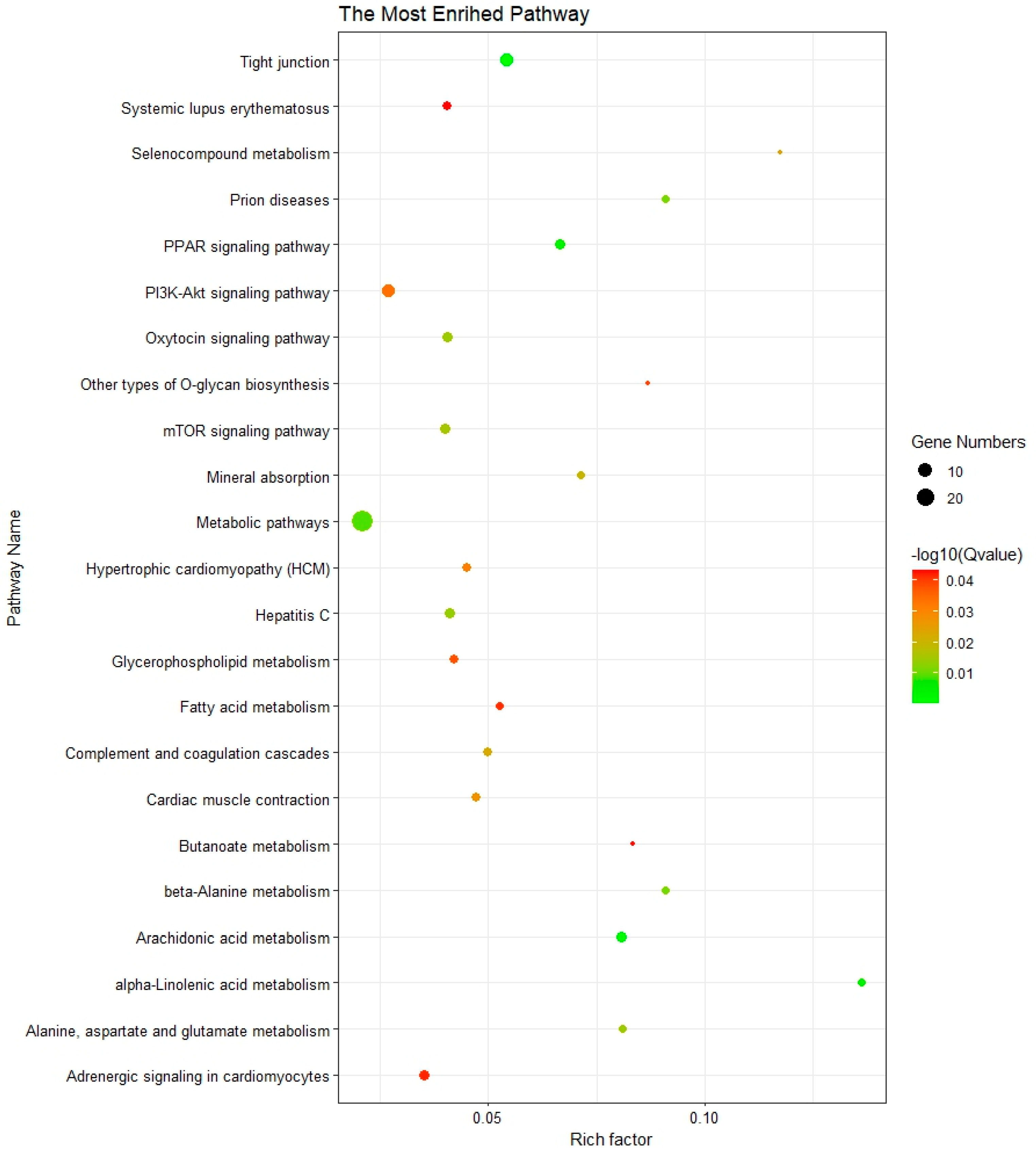 Genes 15 00477 g003