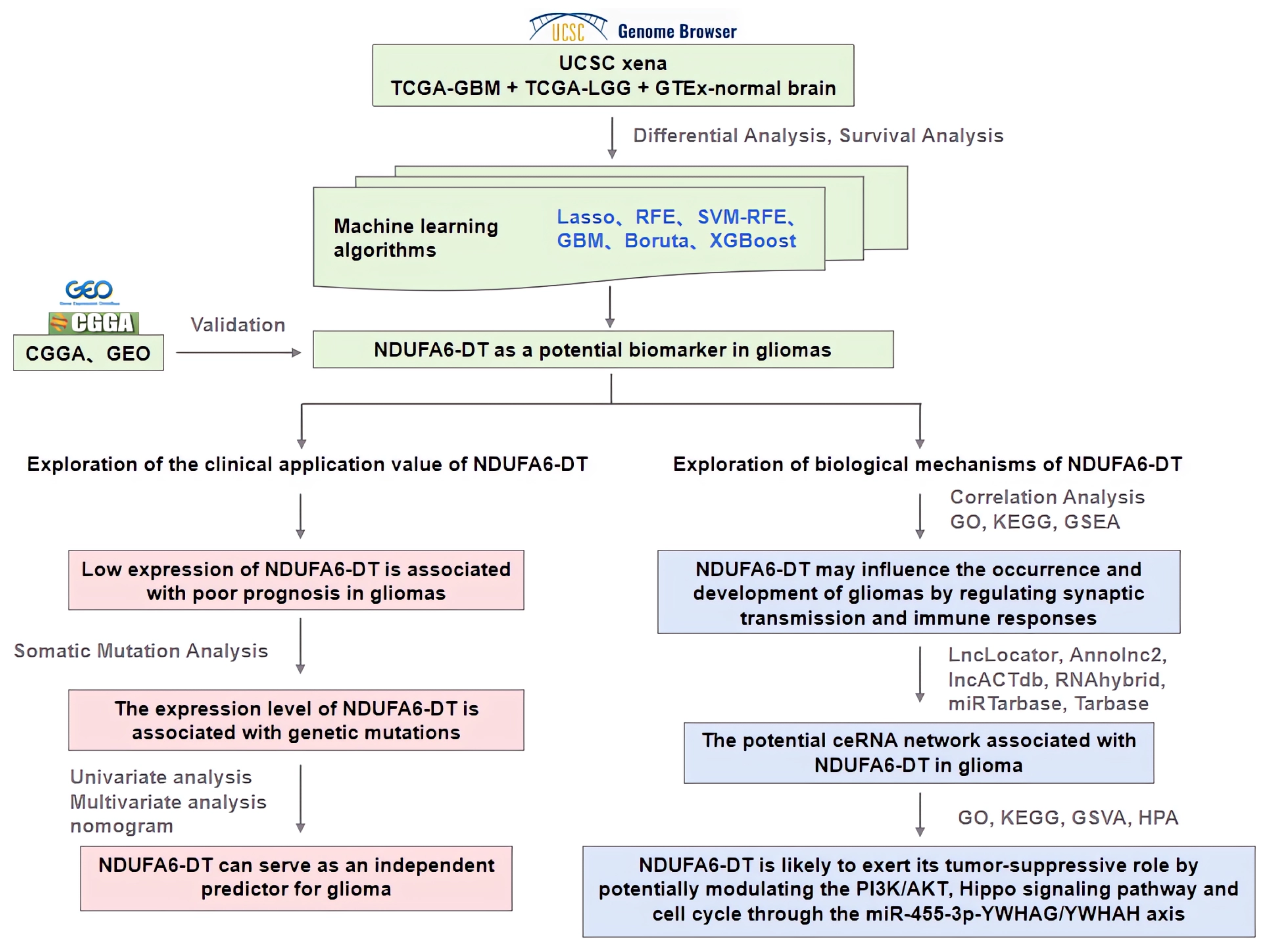 Genes 15 00483 g001 Genes 15 00483 g001