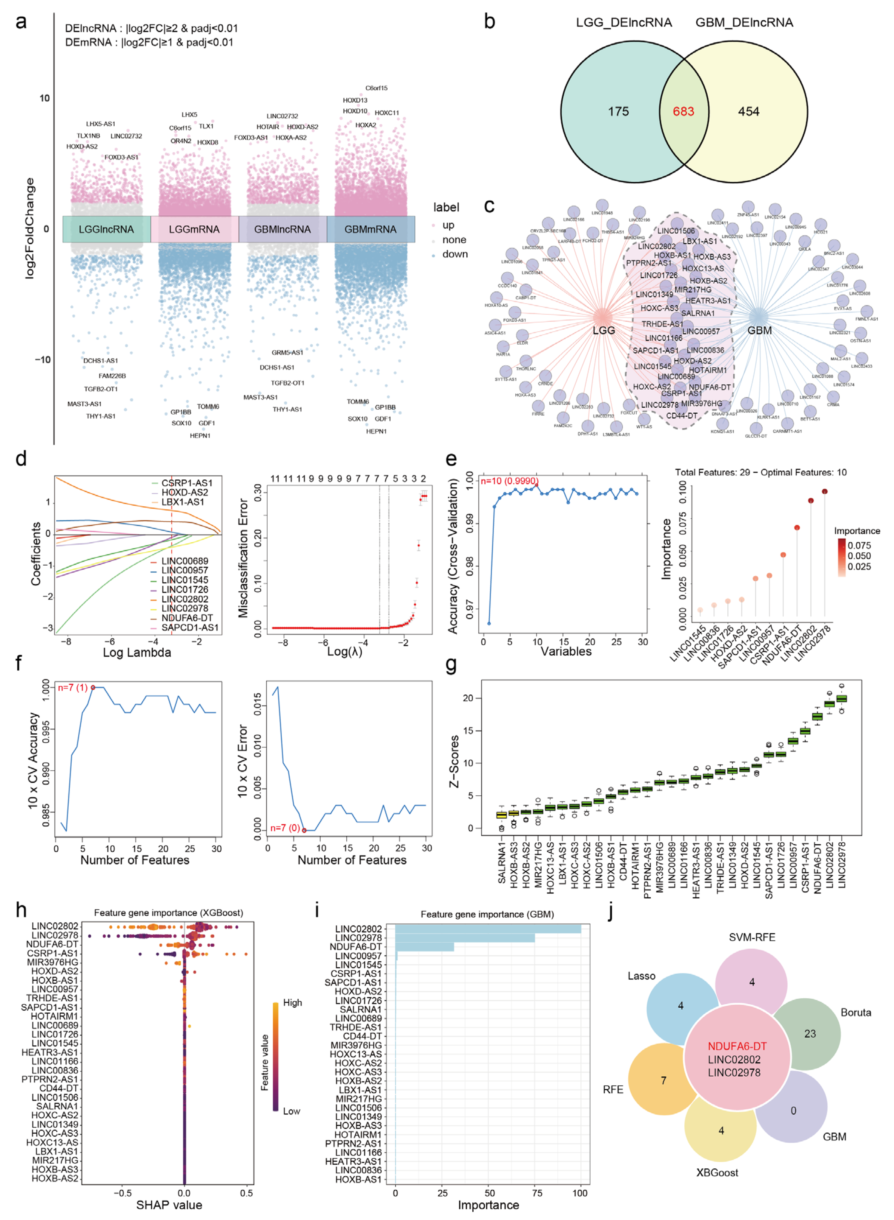 Genes 15 00483 g002 Genes 15 00483 g002