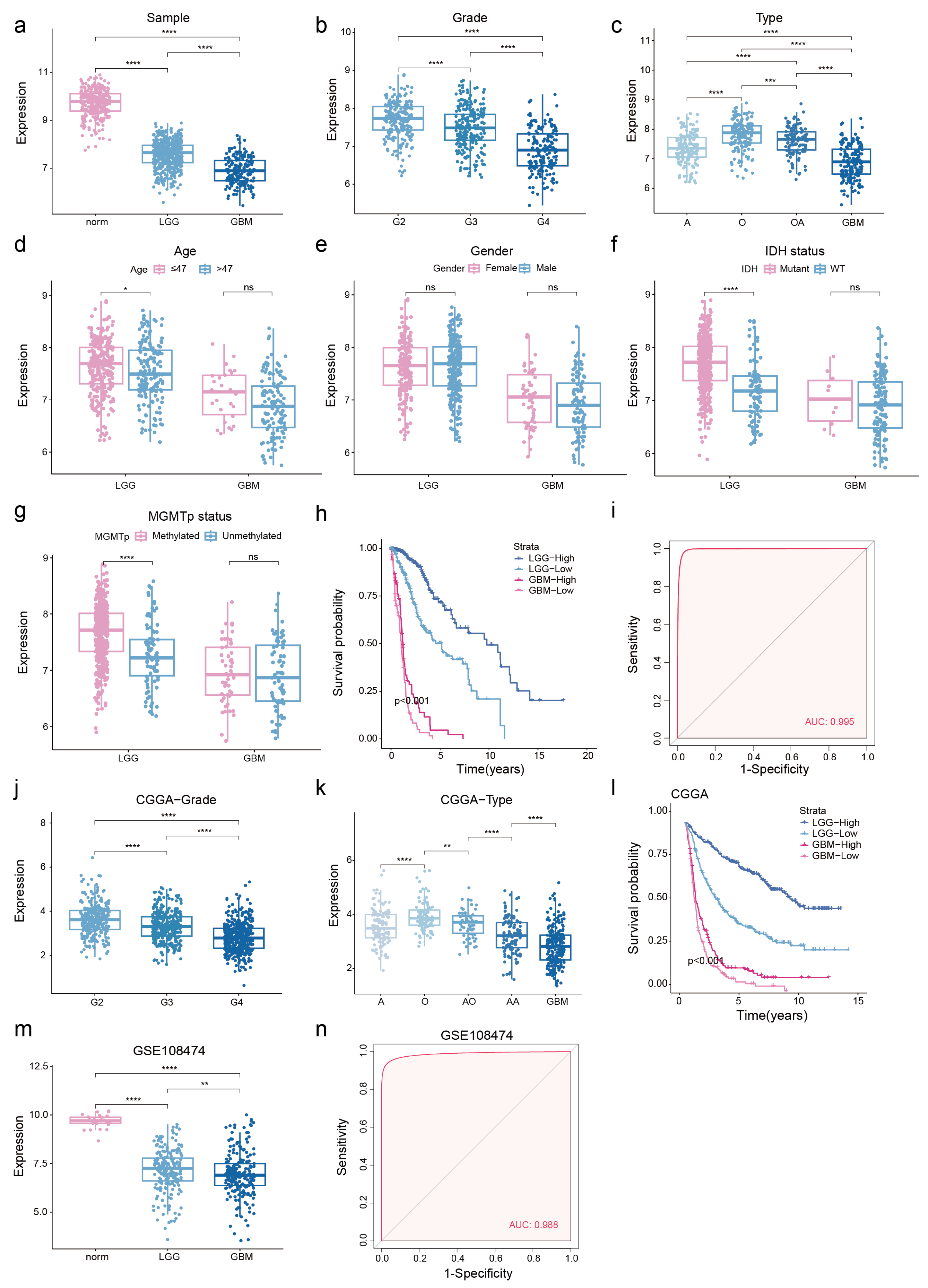 Genes 15 00483 g003 Genes 15 00483 g003