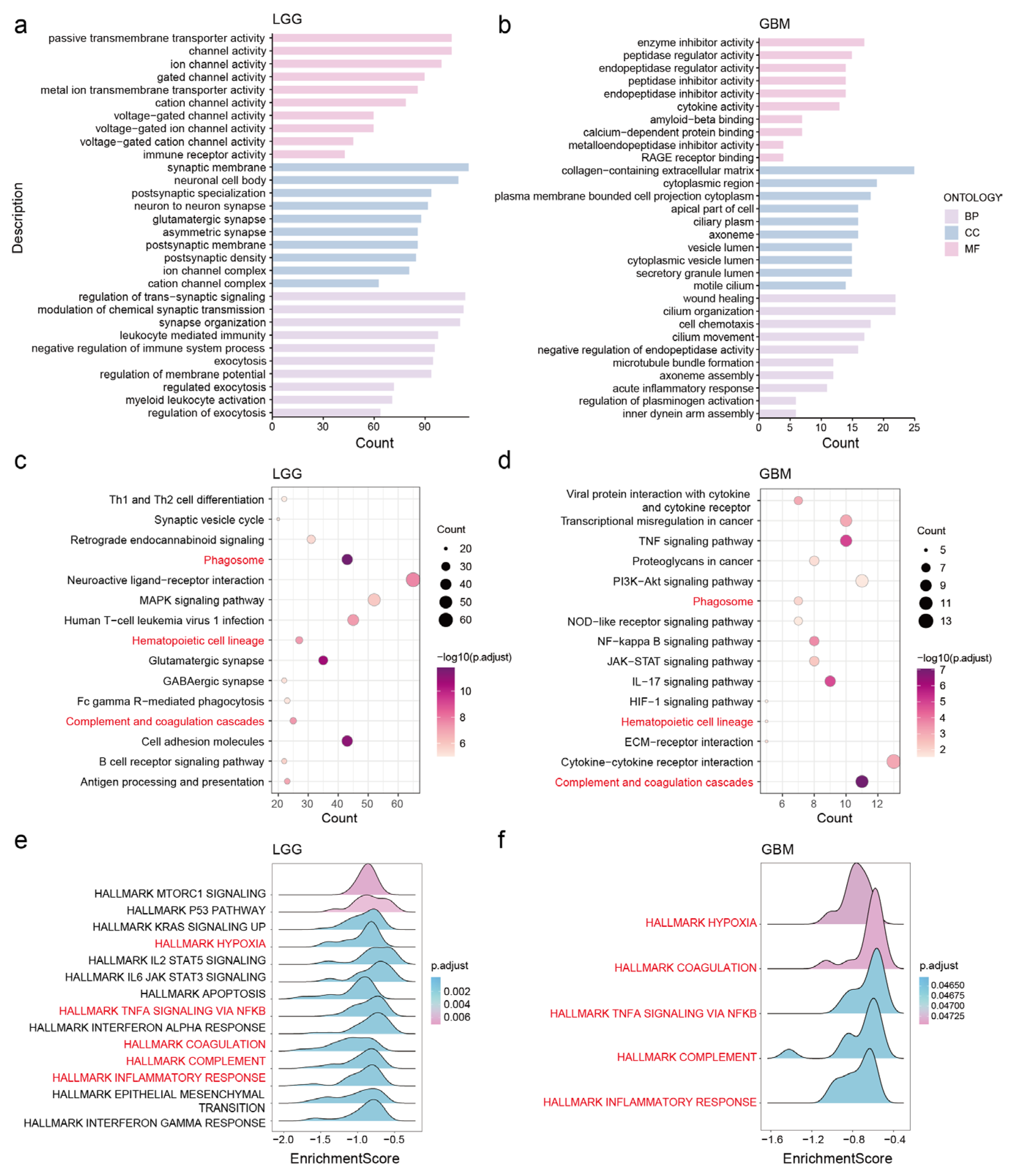 Genes 15 00483 g006 Genes 15 00483 g006