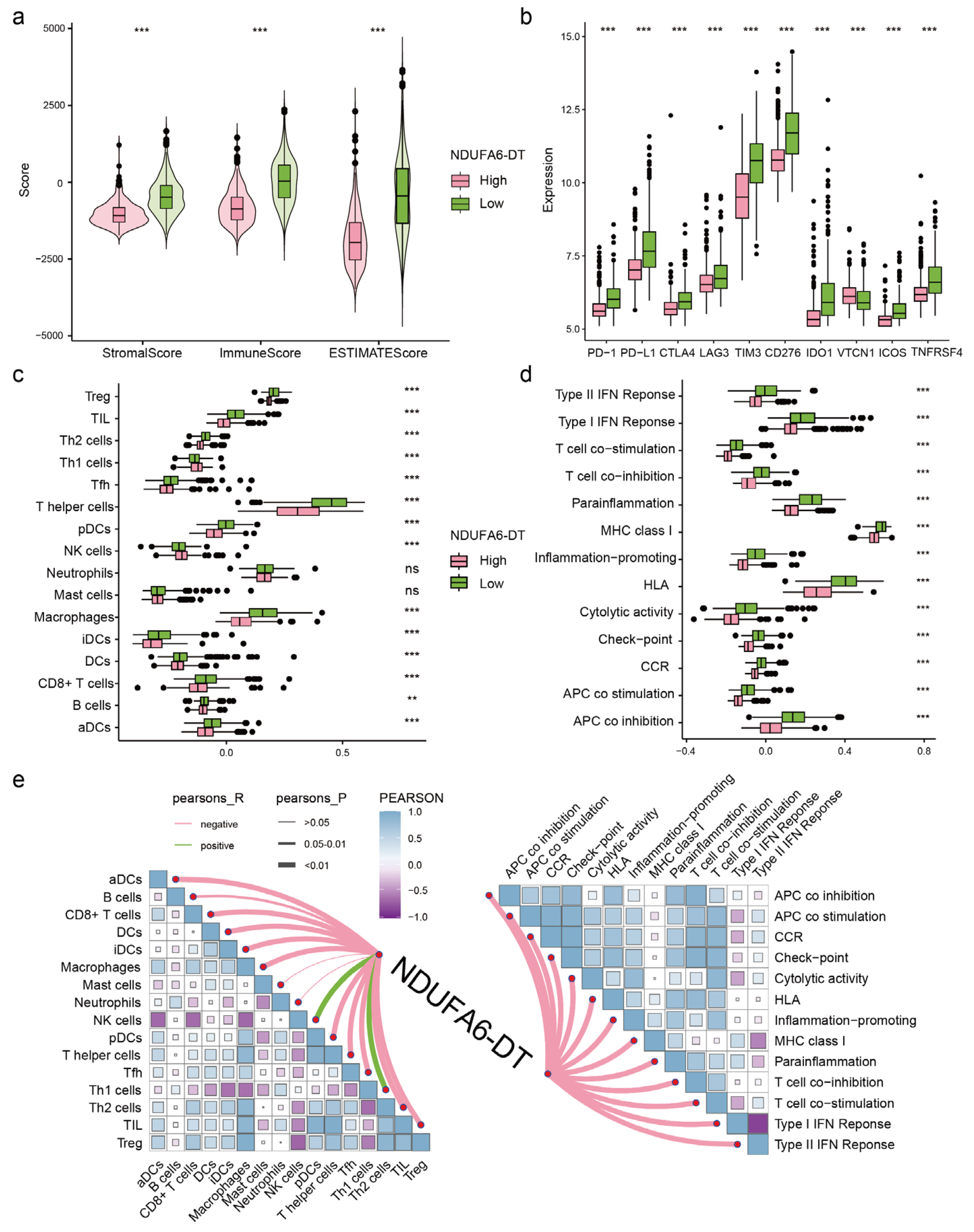 Genes 15 00483 g007 Genes 15 00483 g007