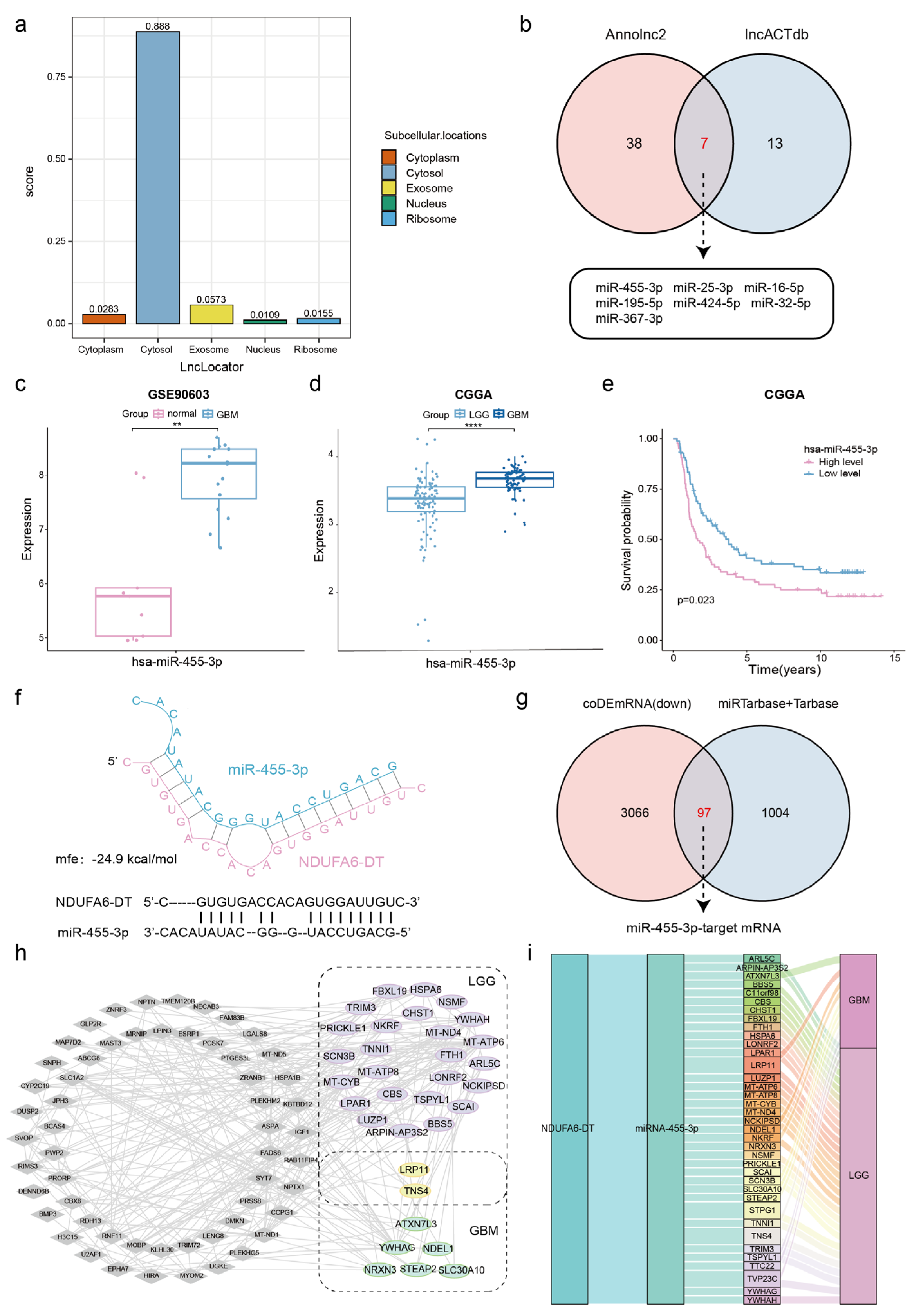 Genes 15 00483 g008 Genes 15 00483 g008