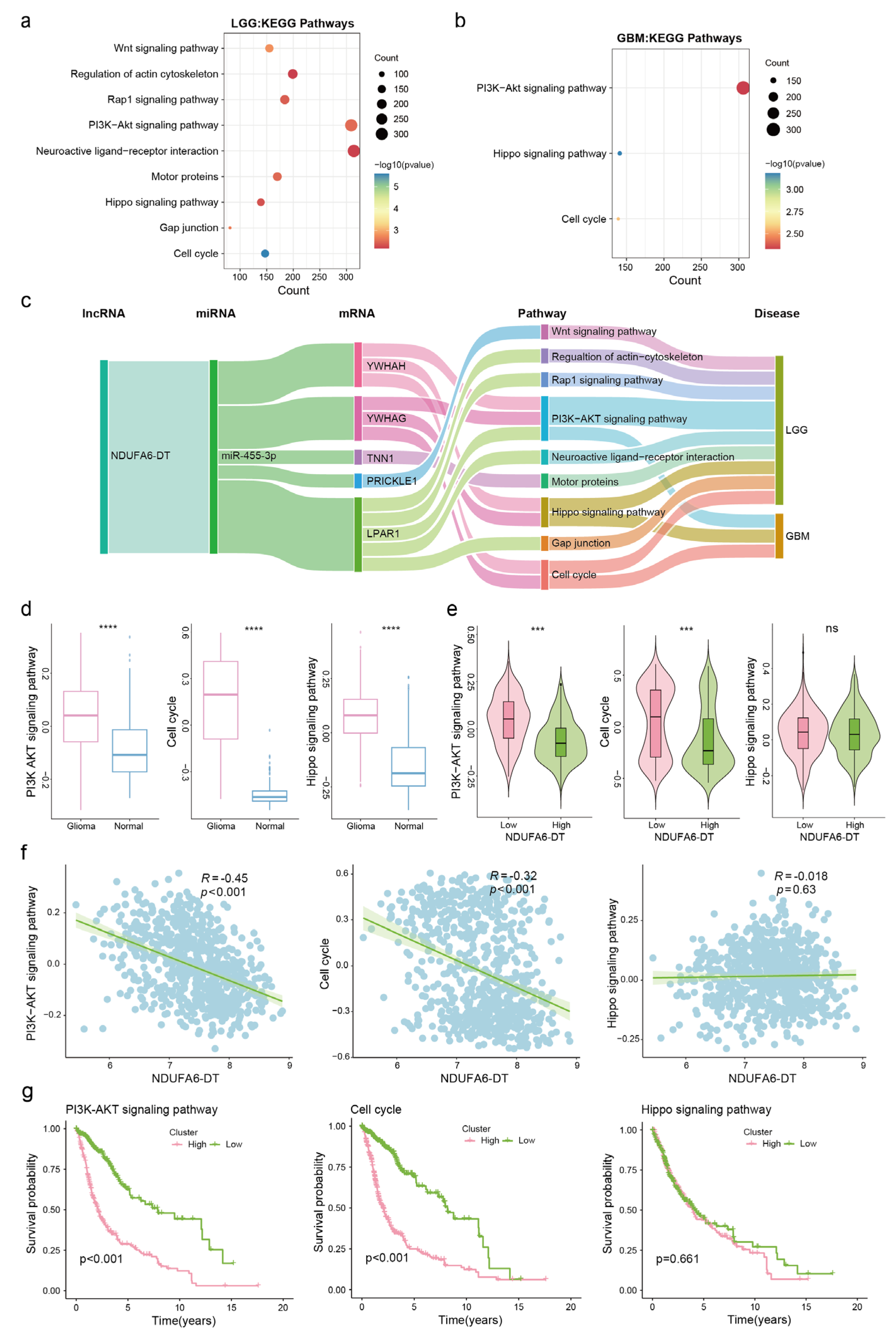 Genes 15 00483 g009 Genes 15 00483 g009