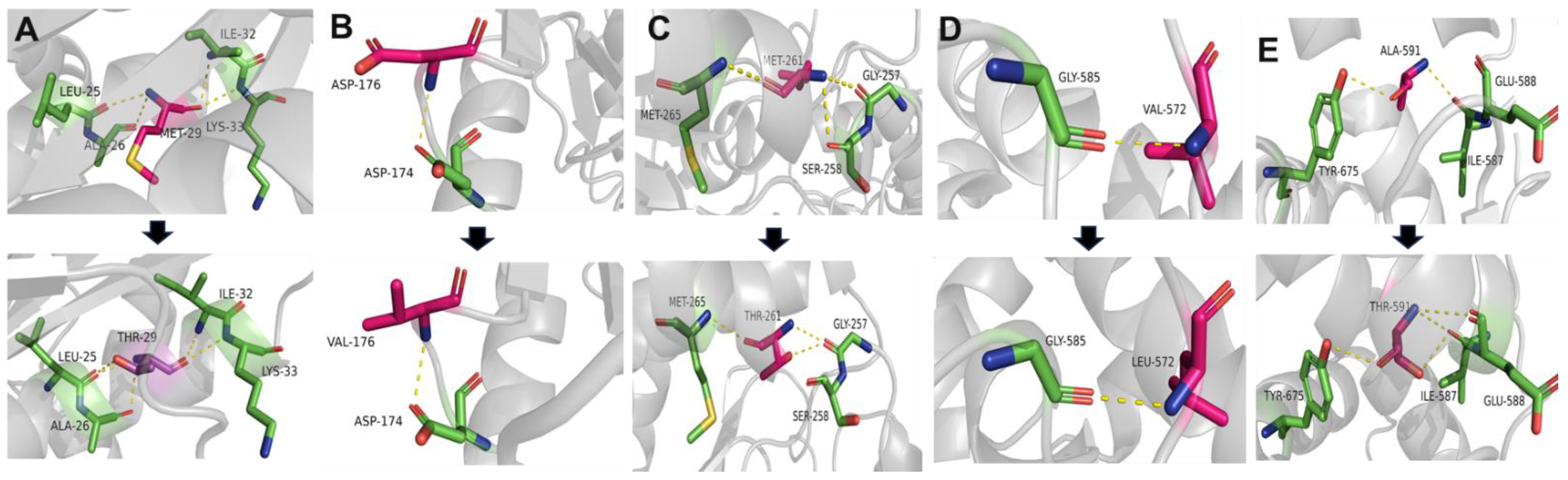 Genes 15 00485 g003 Genes 15 00485 g003