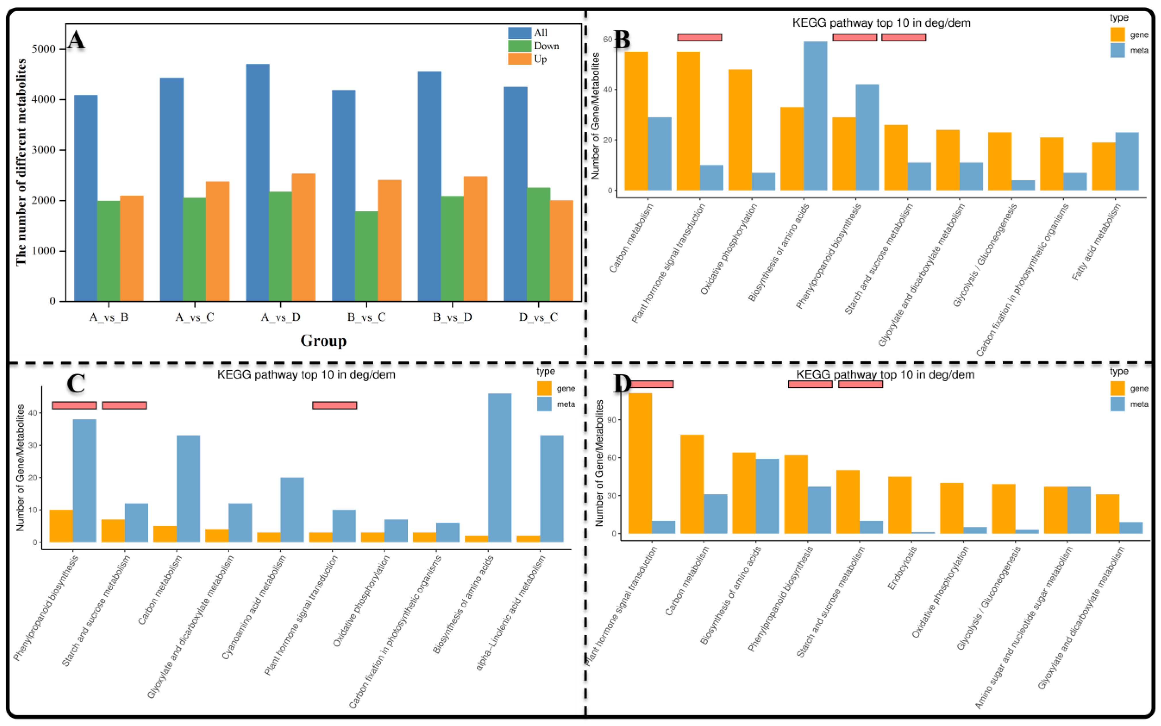 Genes 15 00488 g004