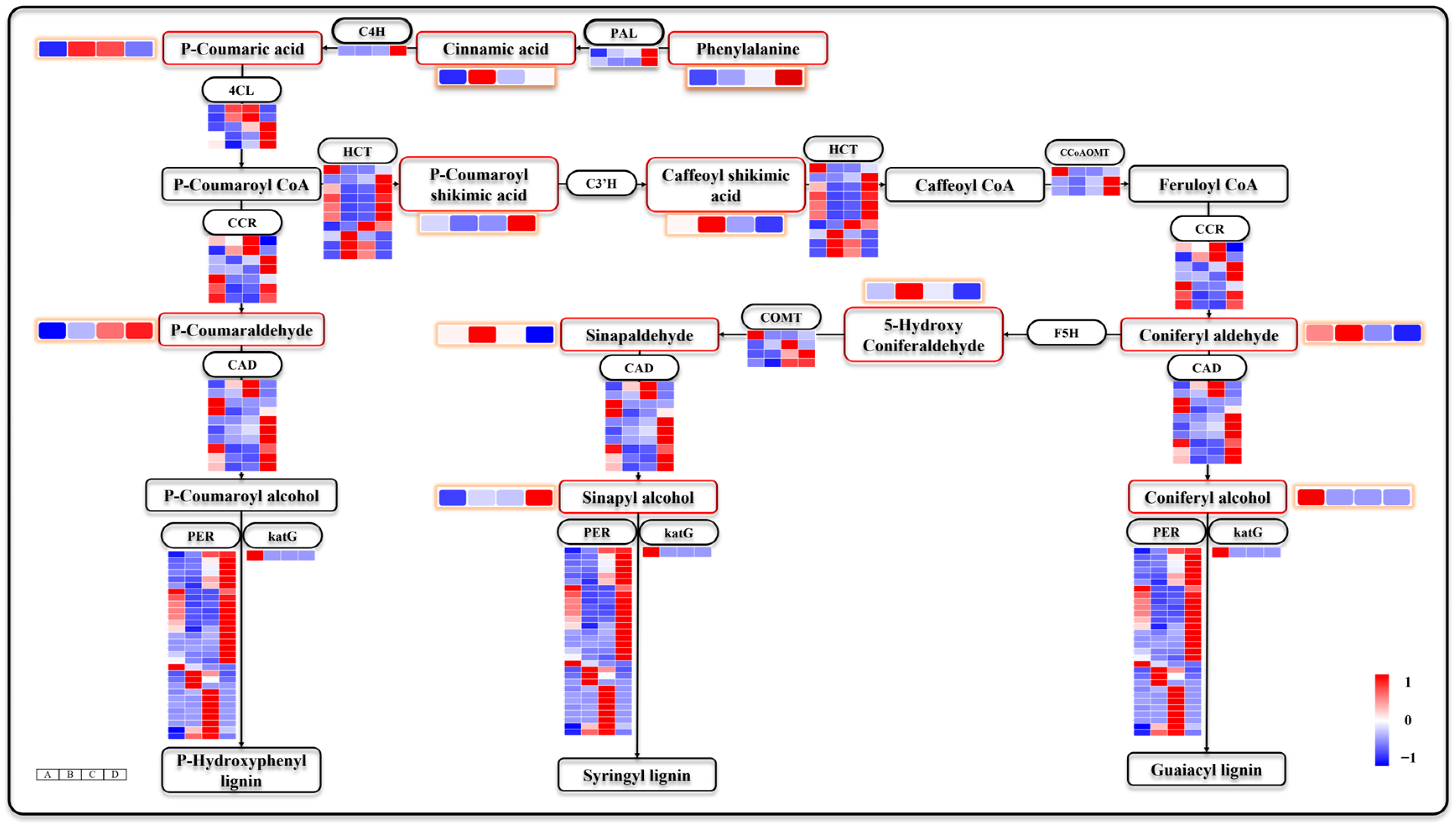 Genes 15 00488 g009
