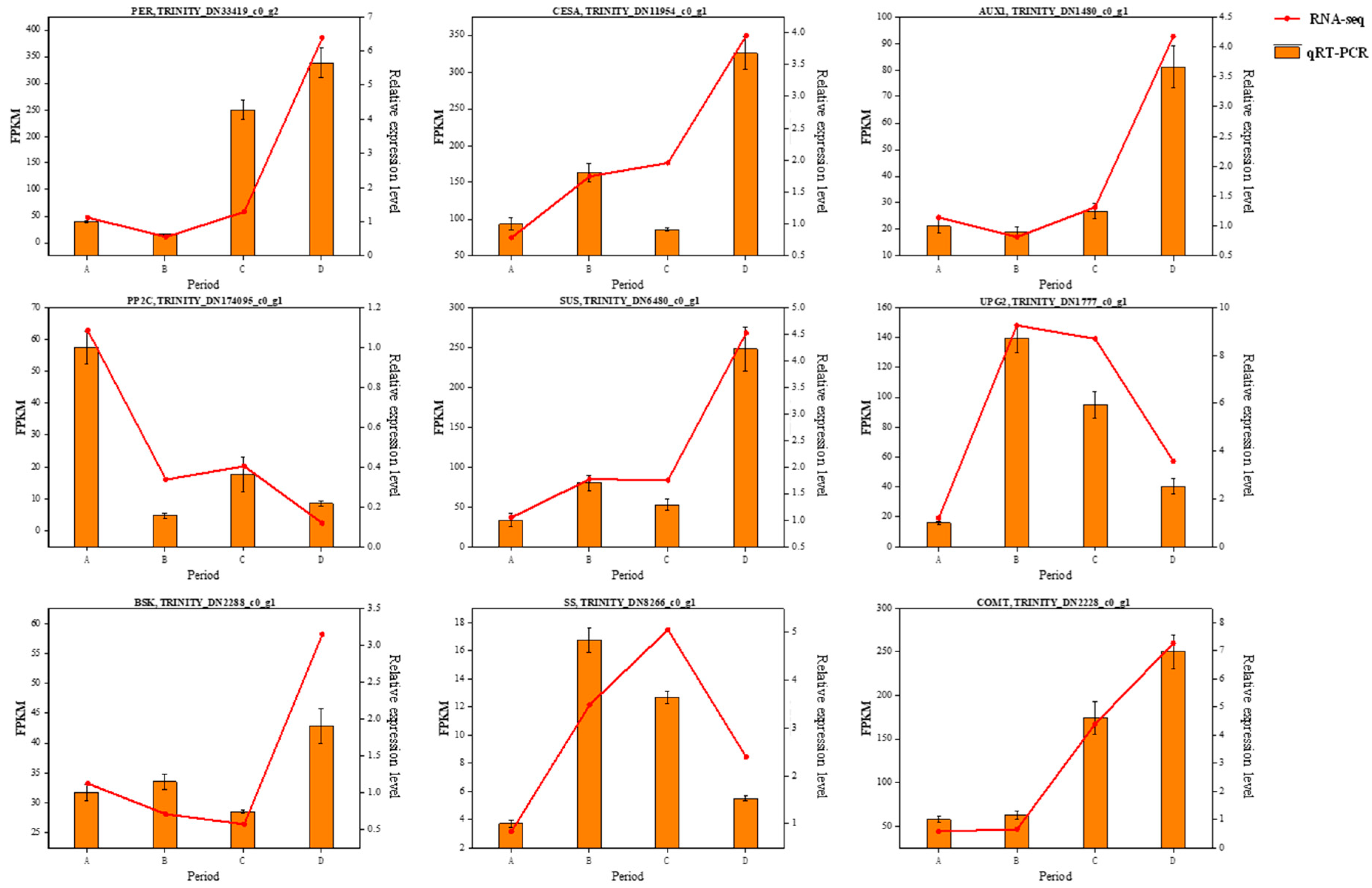 Genes 15 00488 g010