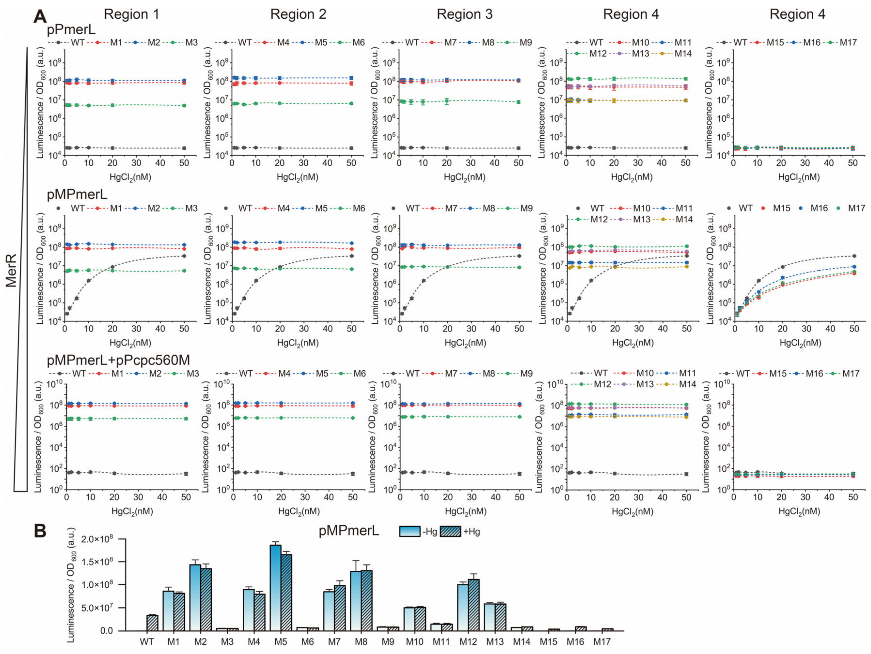 Genes 15 00490 g002