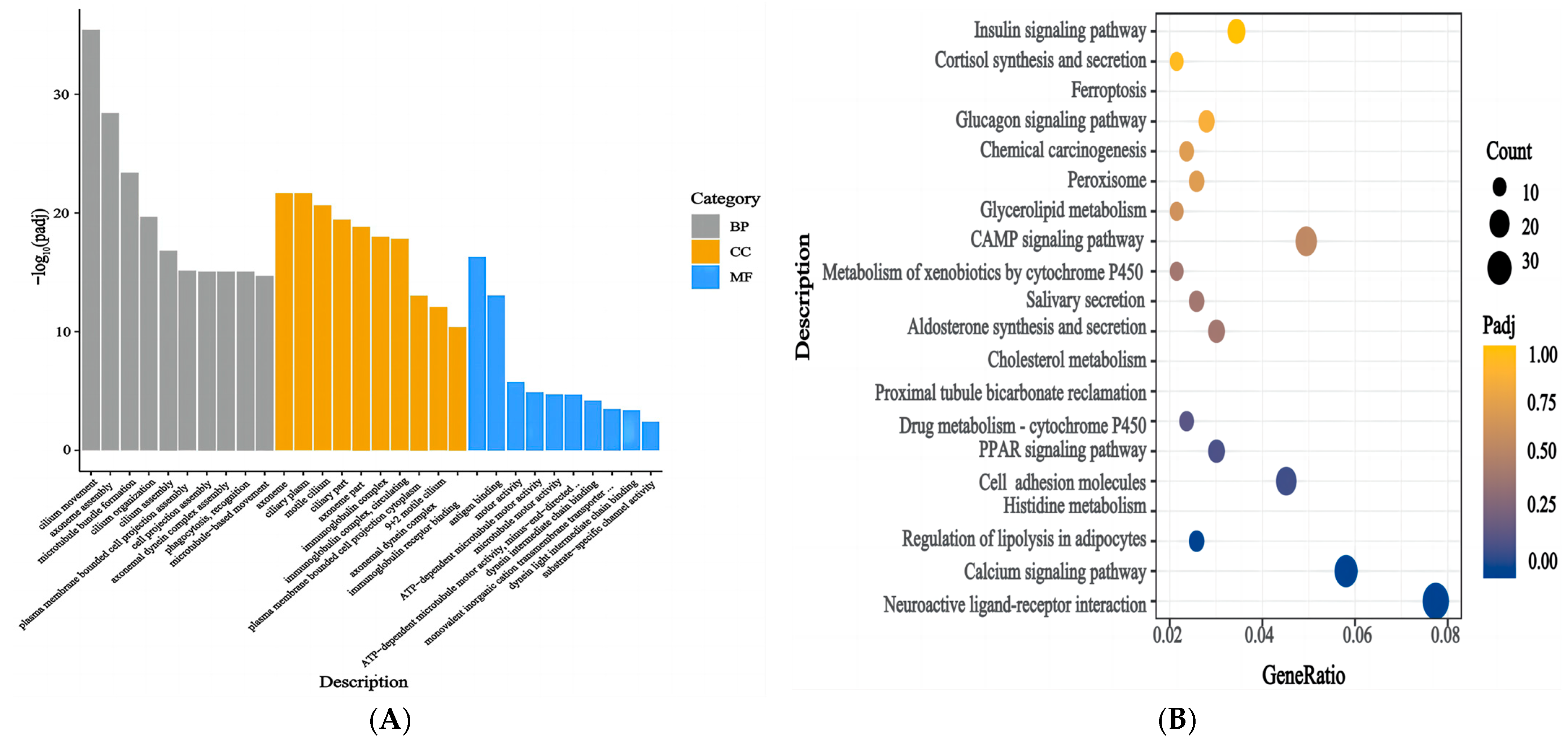 Genes 15 00507 g006