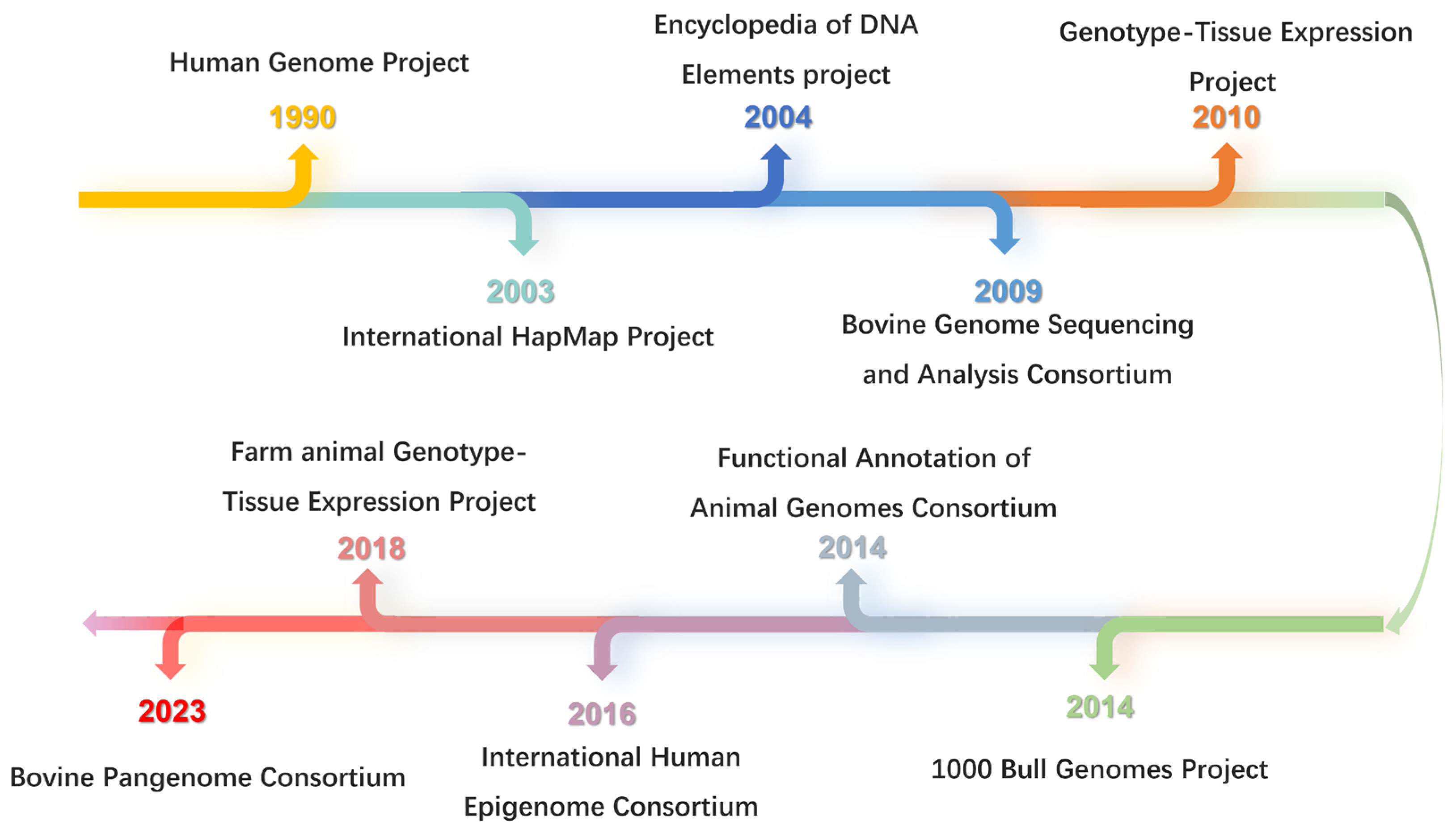 Genes 15 00509 g001