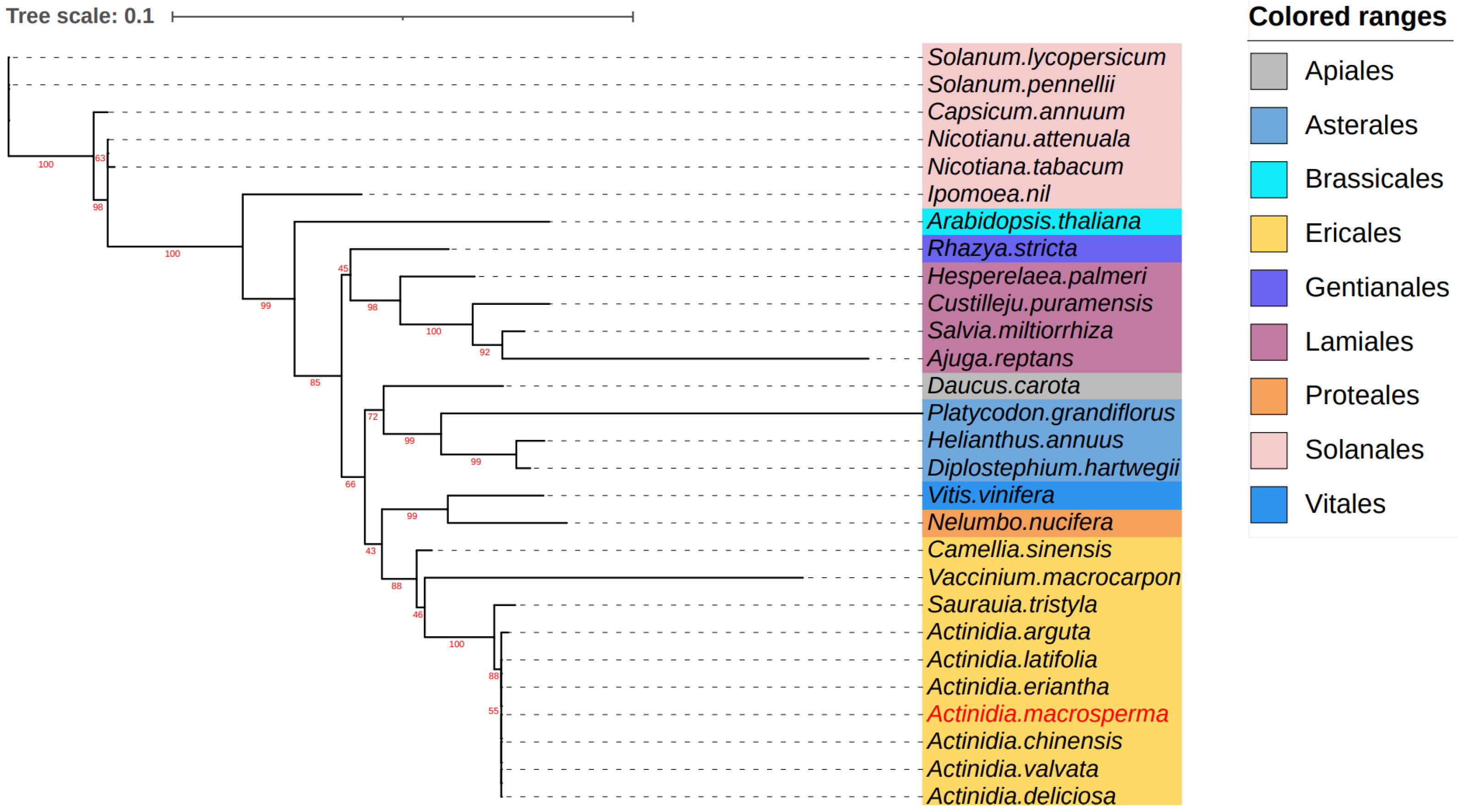 Genes 15 00514 g005