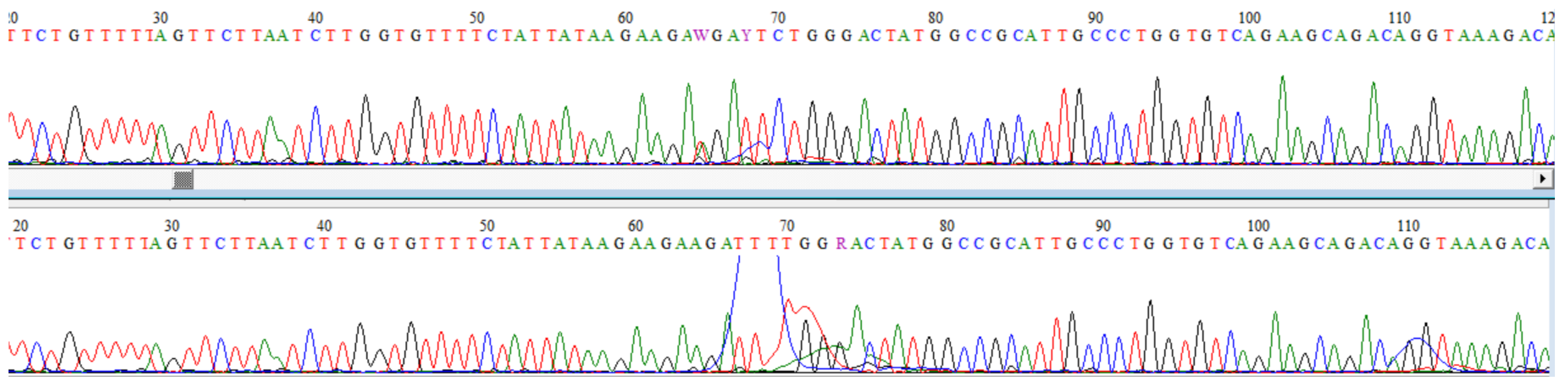 Genes 15 00525 g003